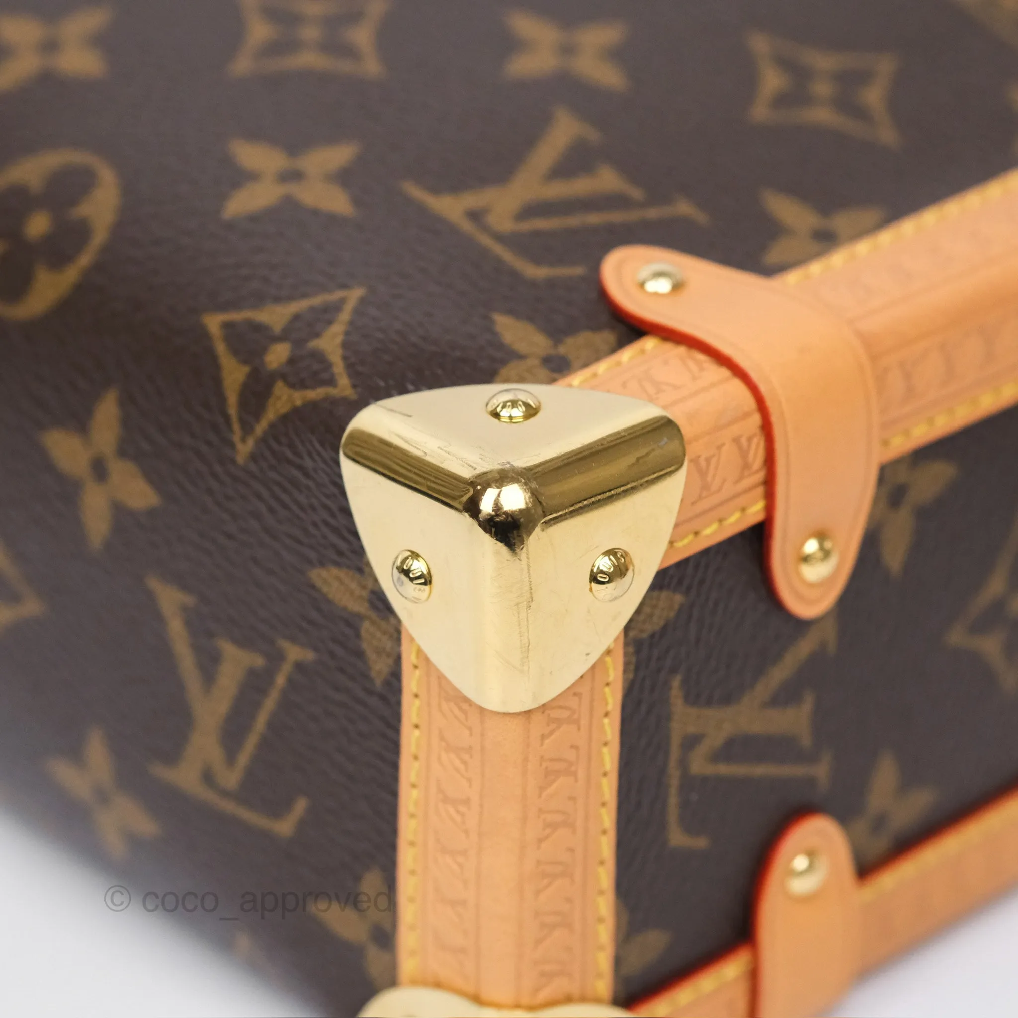 Louis Vuitton Side Trunk MM Monogram Canvas