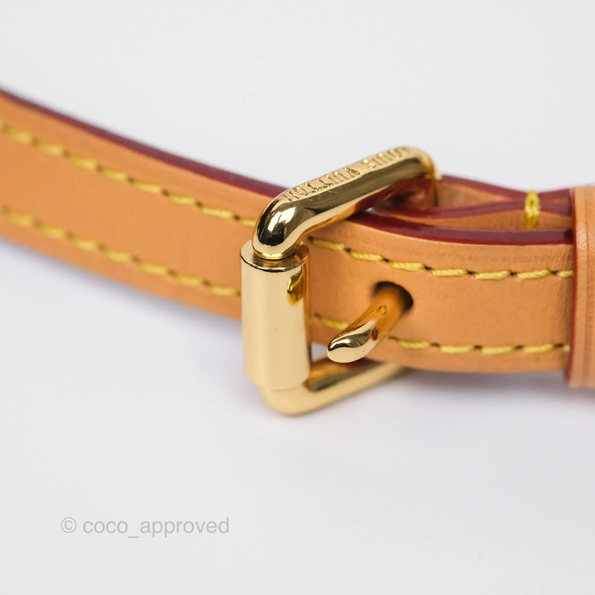 Louis Vuitton Side Trunk MM Monogram Canvas
