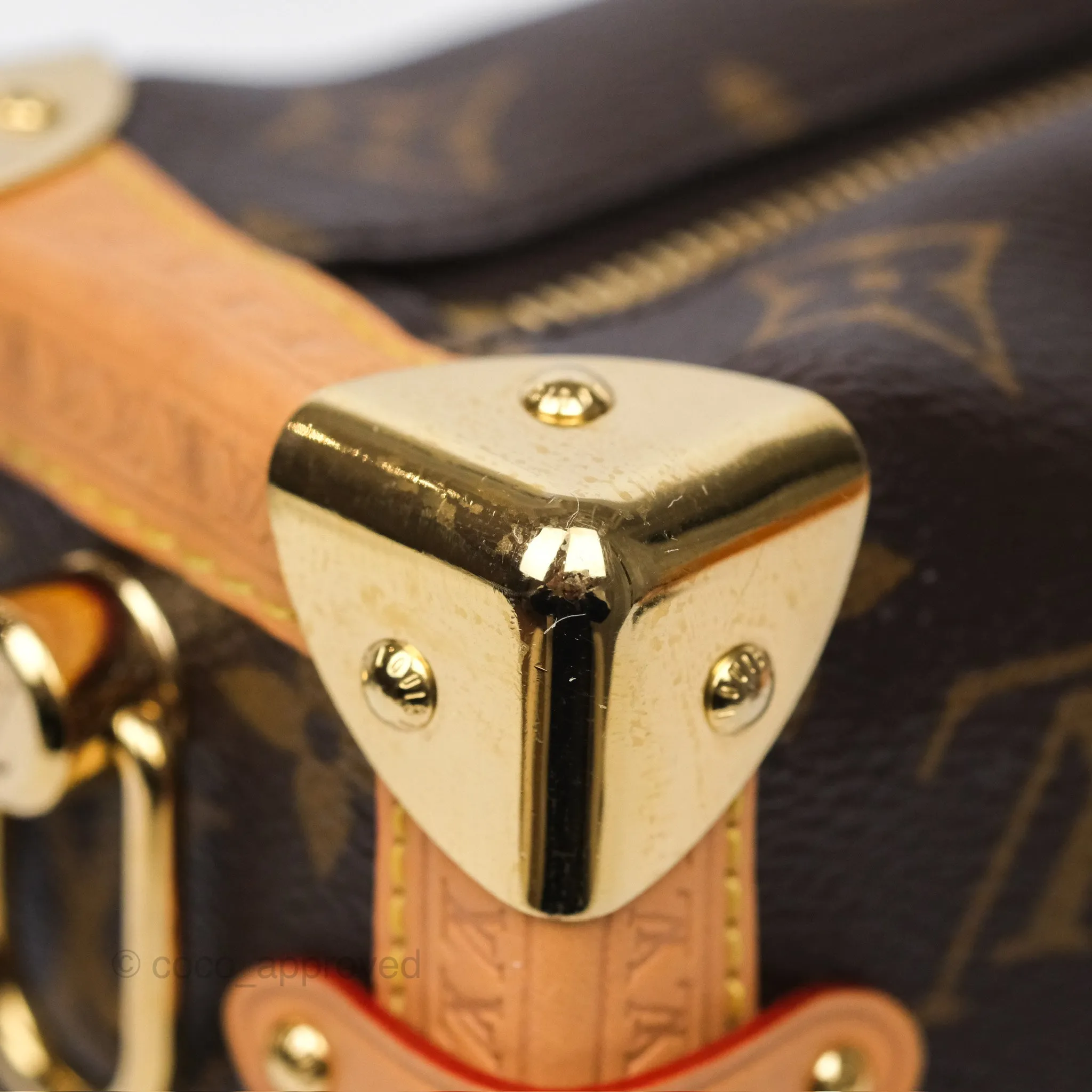 Louis Vuitton Side Trunk MM Monogram Canvas