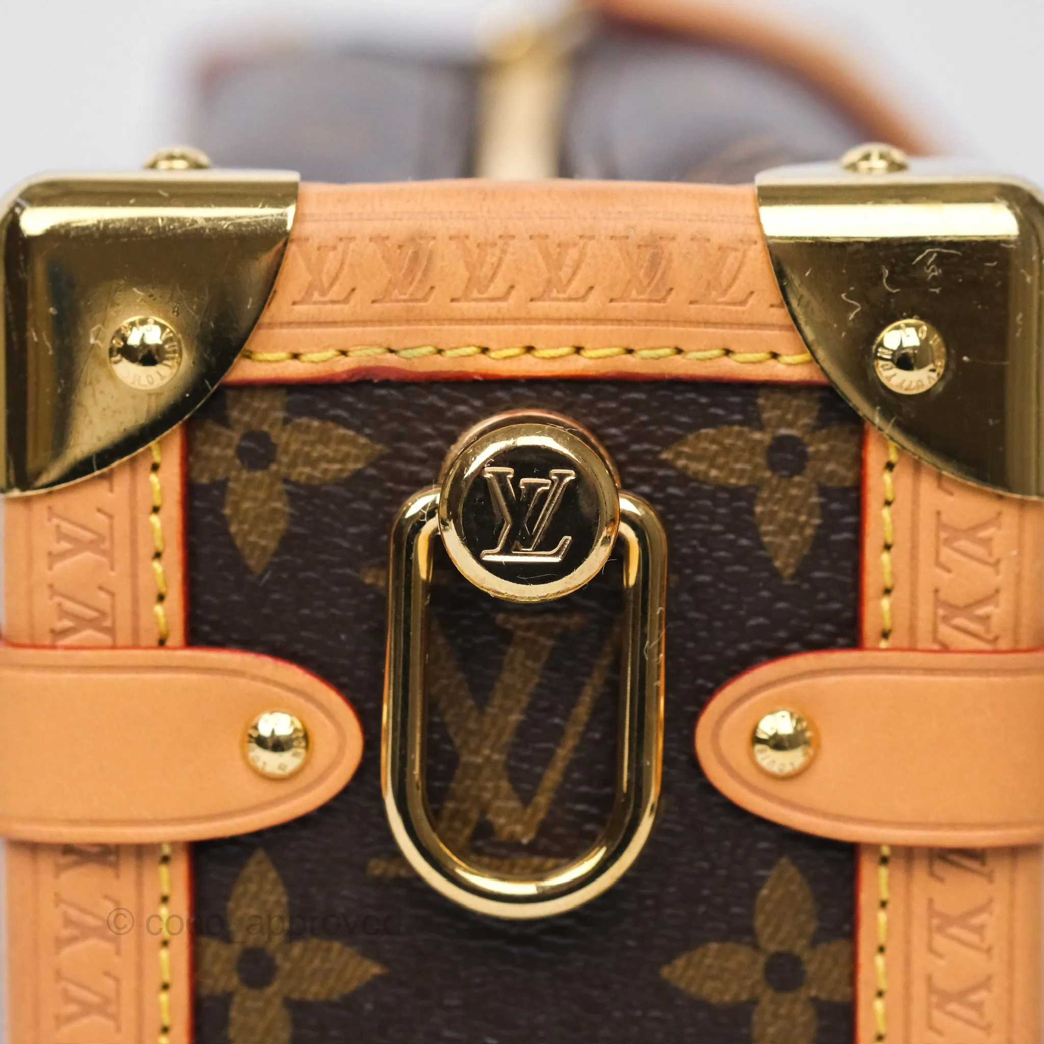 Louis Vuitton Side Trunk MM Monogram Canvas