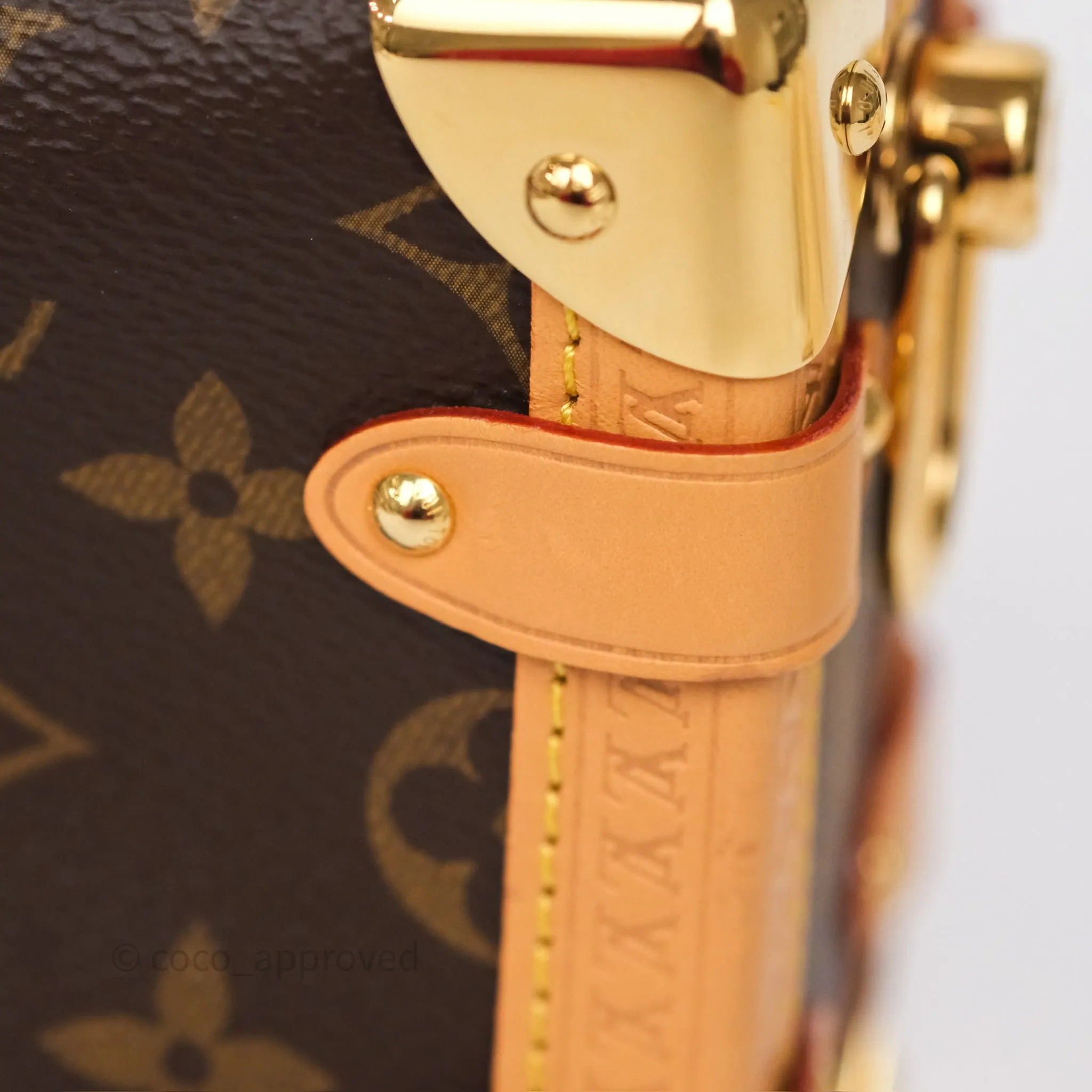 Louis Vuitton Side Trunk PM Monogram Canvas