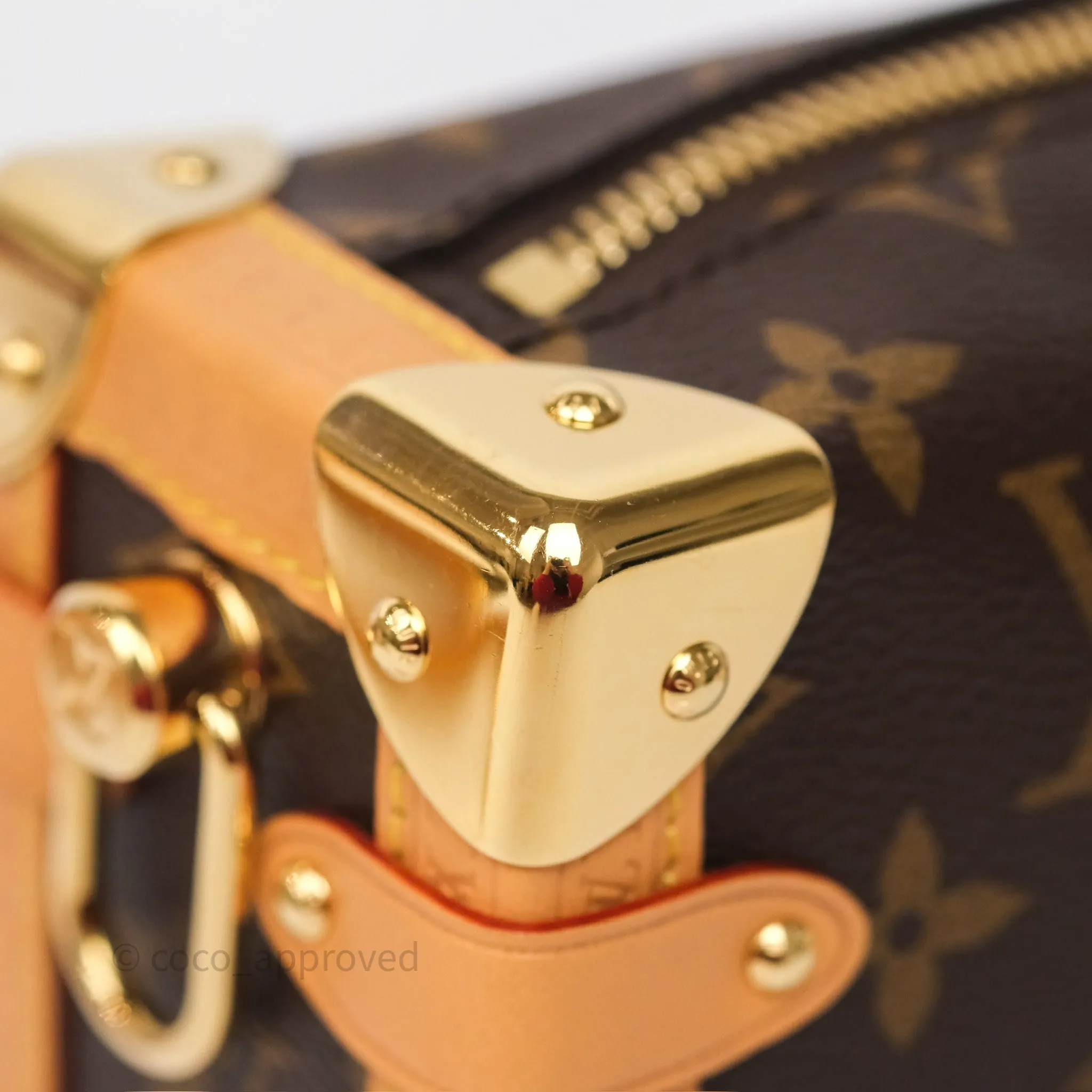 Louis Vuitton Side Trunk PM Monogram Canvas
