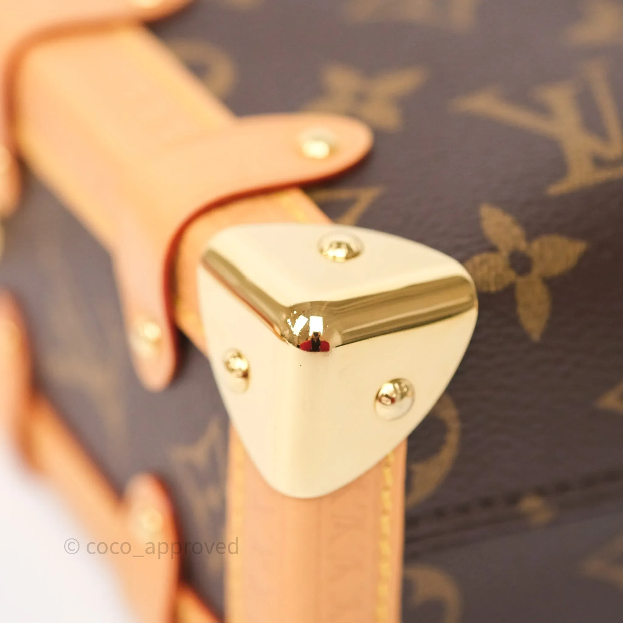 Louis Vuitton Side Trunk PM Monogram Canvas