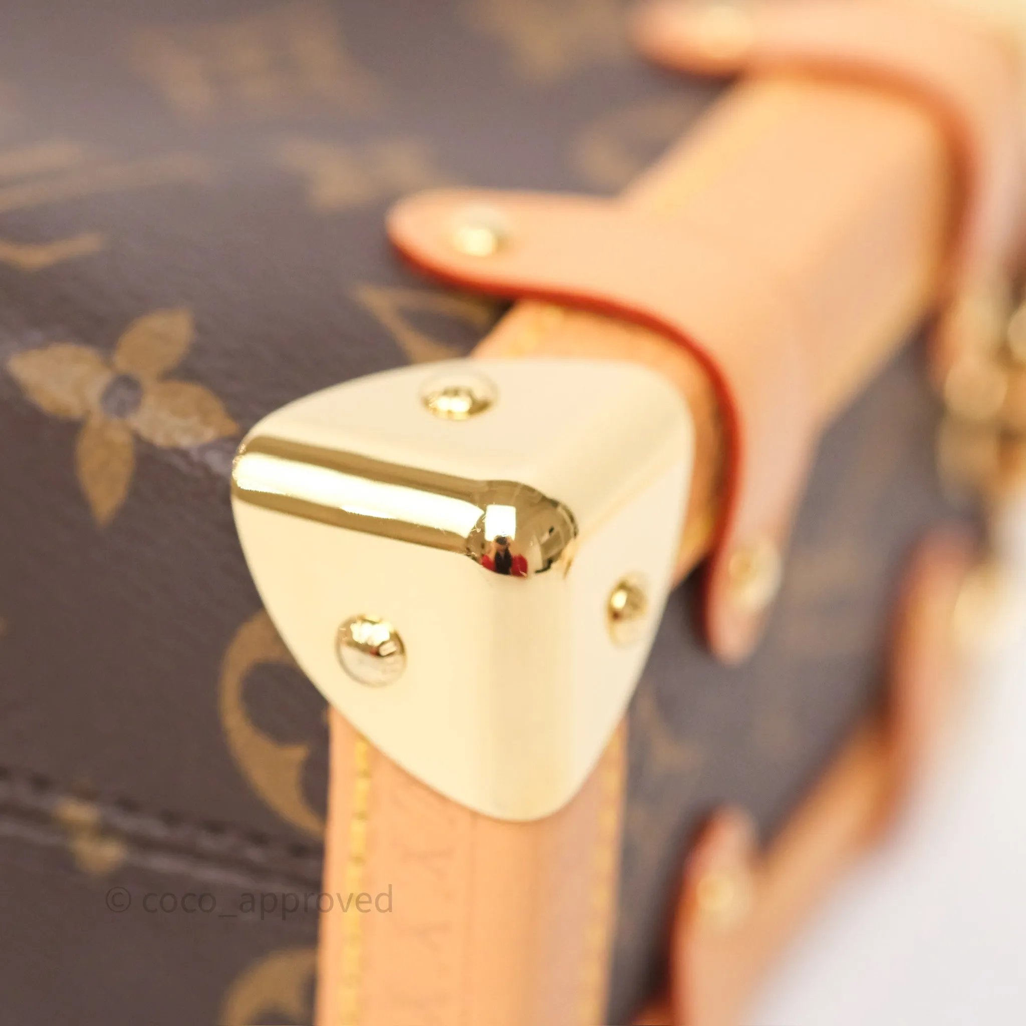 Louis Vuitton Side Trunk PM Monogram Canvas