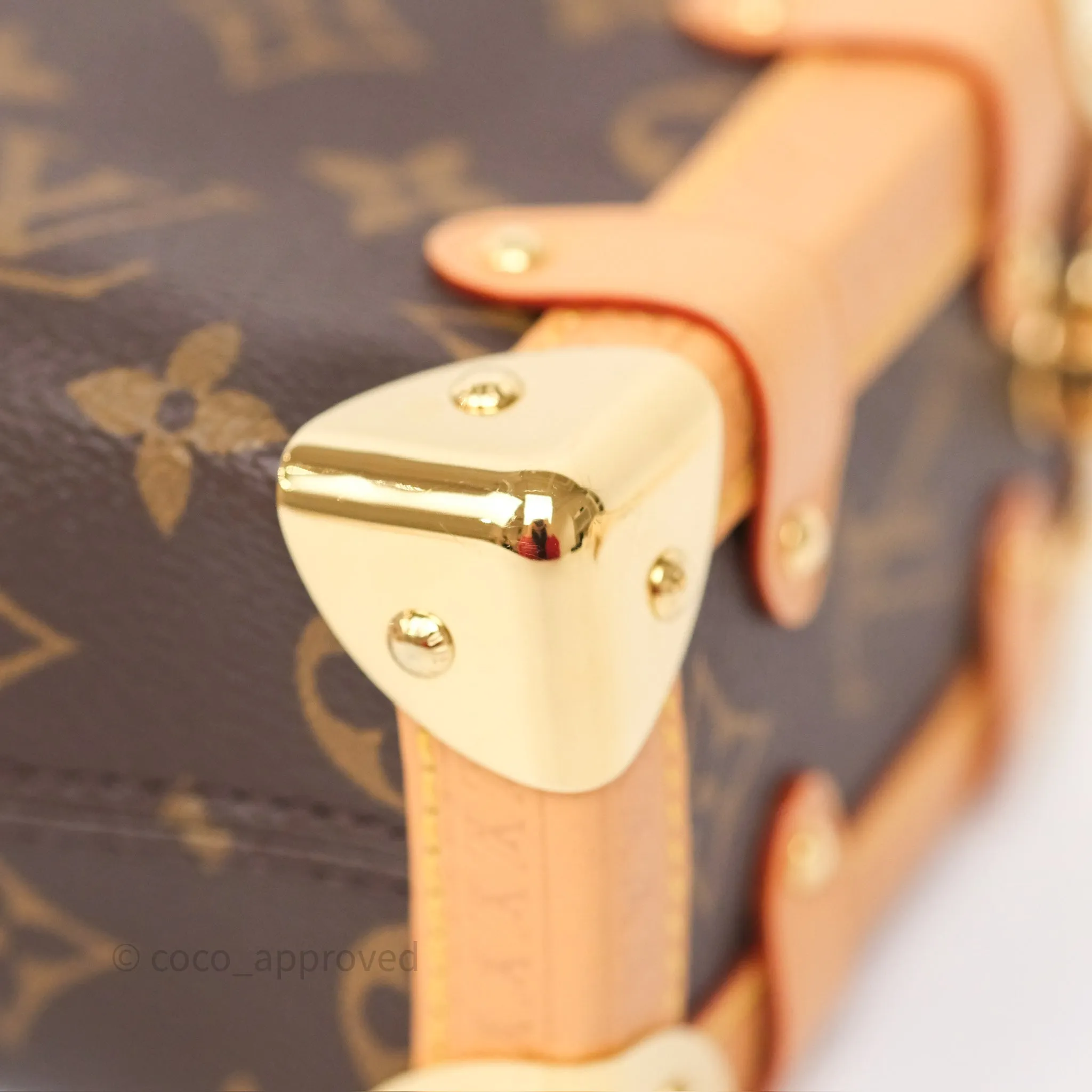 Louis Vuitton Side Trunk PM Monogram Canvas