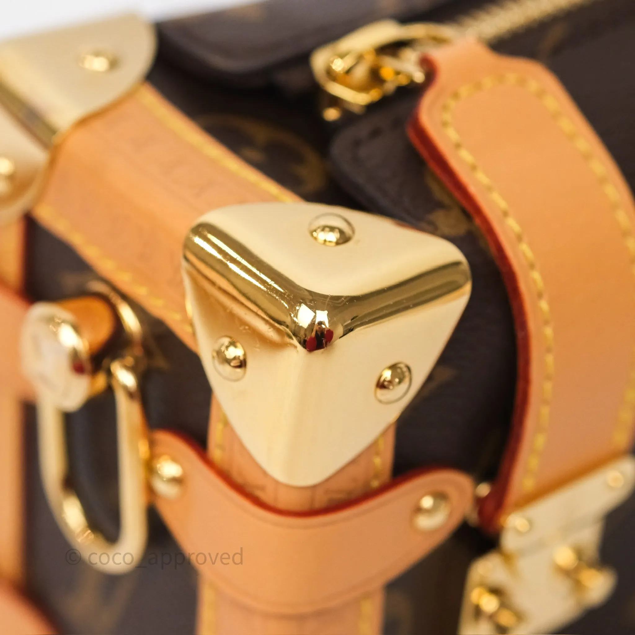 Louis Vuitton Side Trunk PM Monogram Canvas