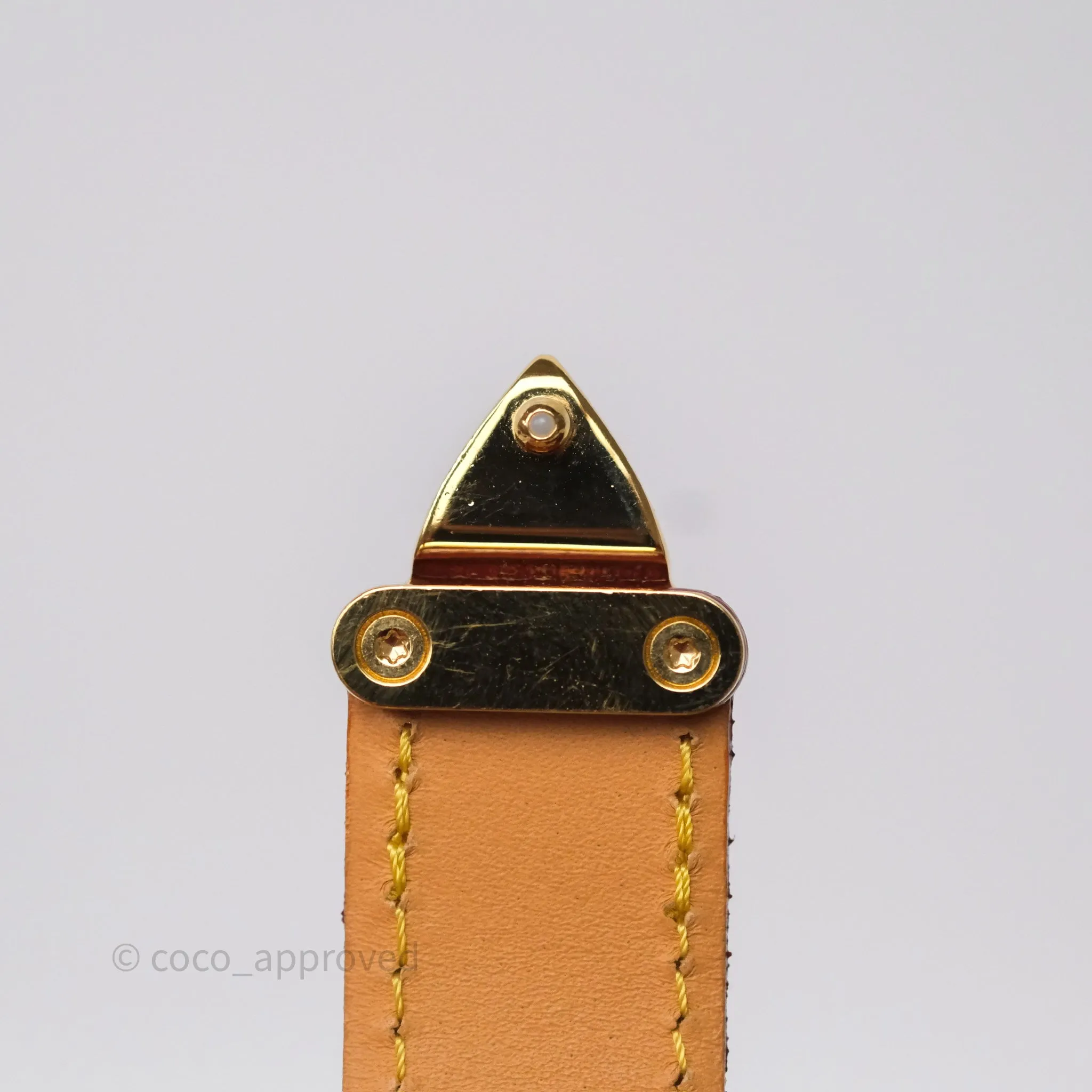 Louis Vuitton Side Trunk PM Monogram Canvas