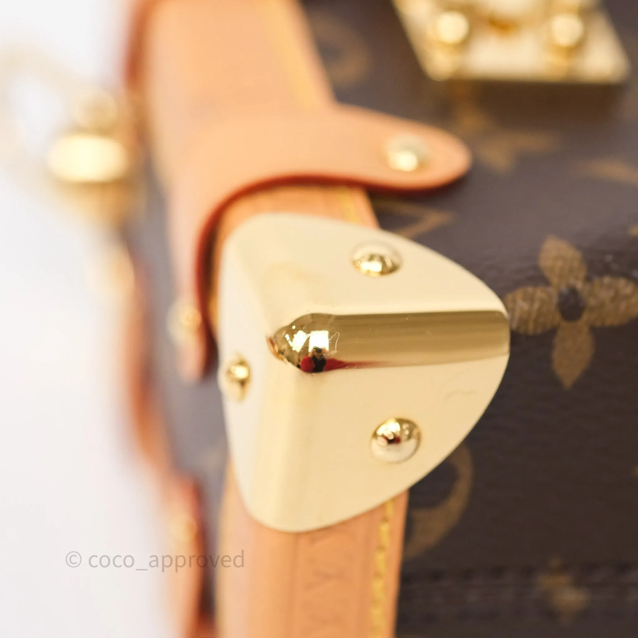 Louis Vuitton Side Trunk PM Monogram Canvas