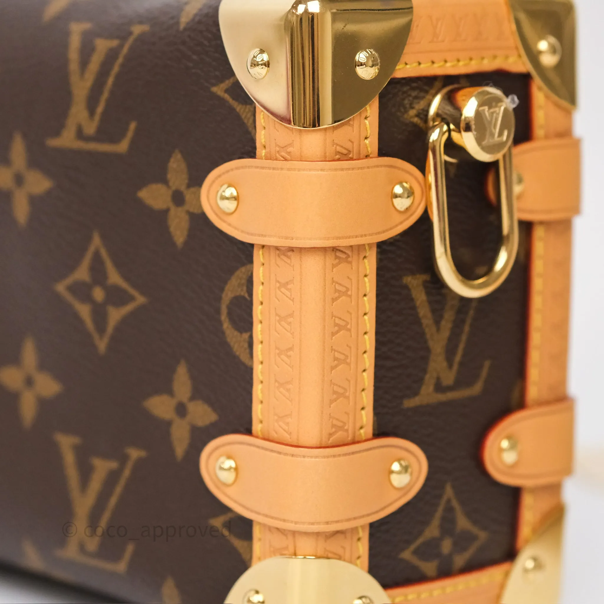 Louis Vuitton Side Trunk PM Monogram Canvas