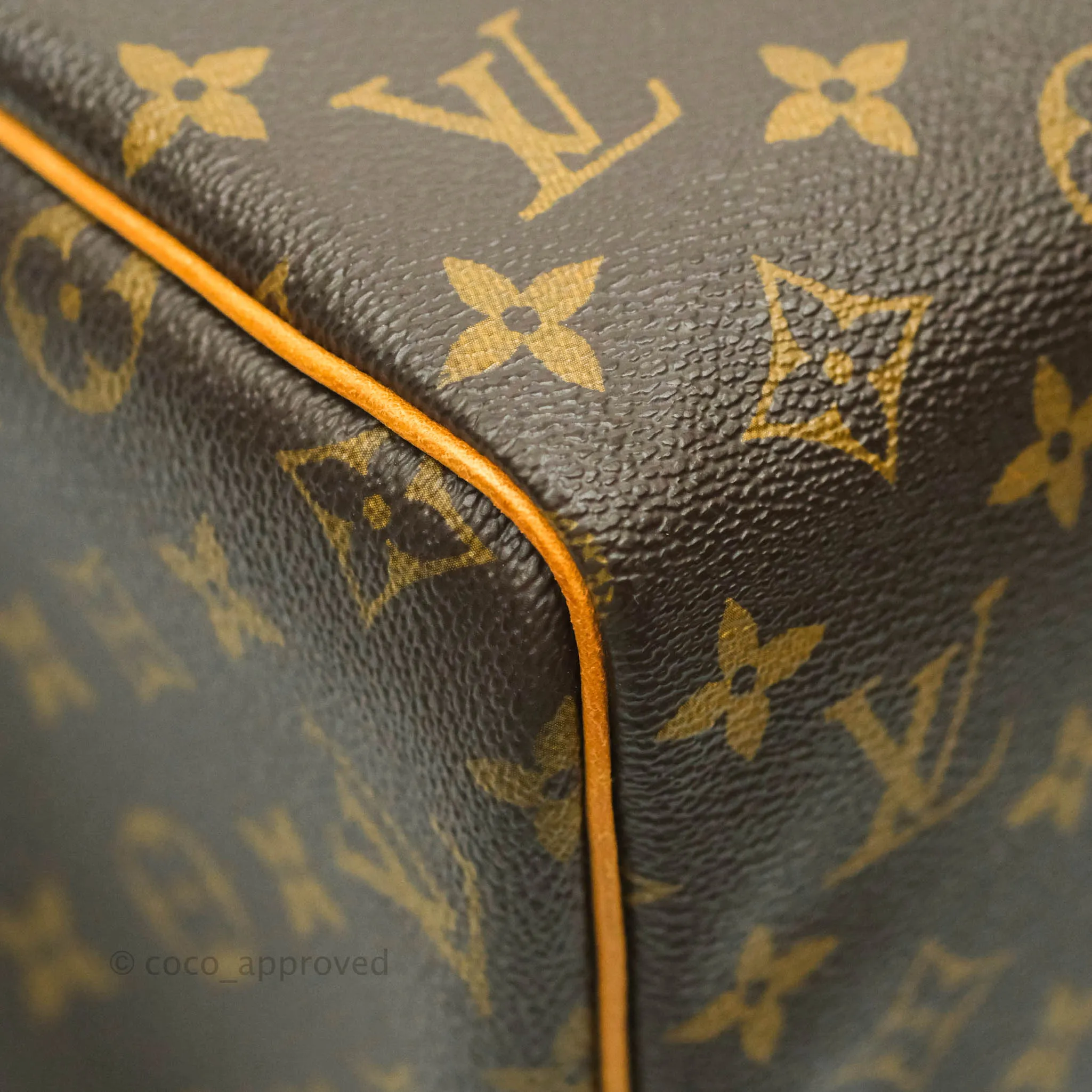 Louis Vuitton Speedy 30 Monogram Canvas