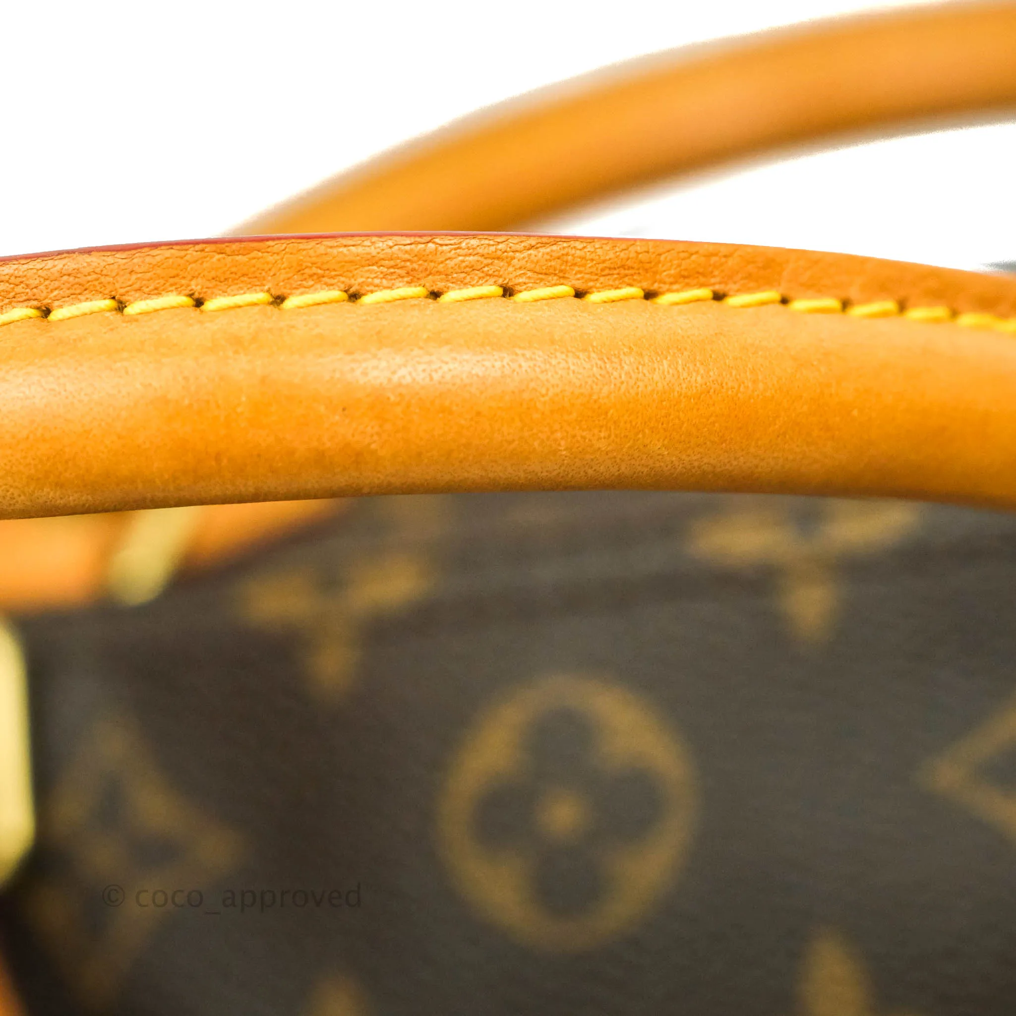 Louis Vuitton Speedy 30 Monogram Canvas