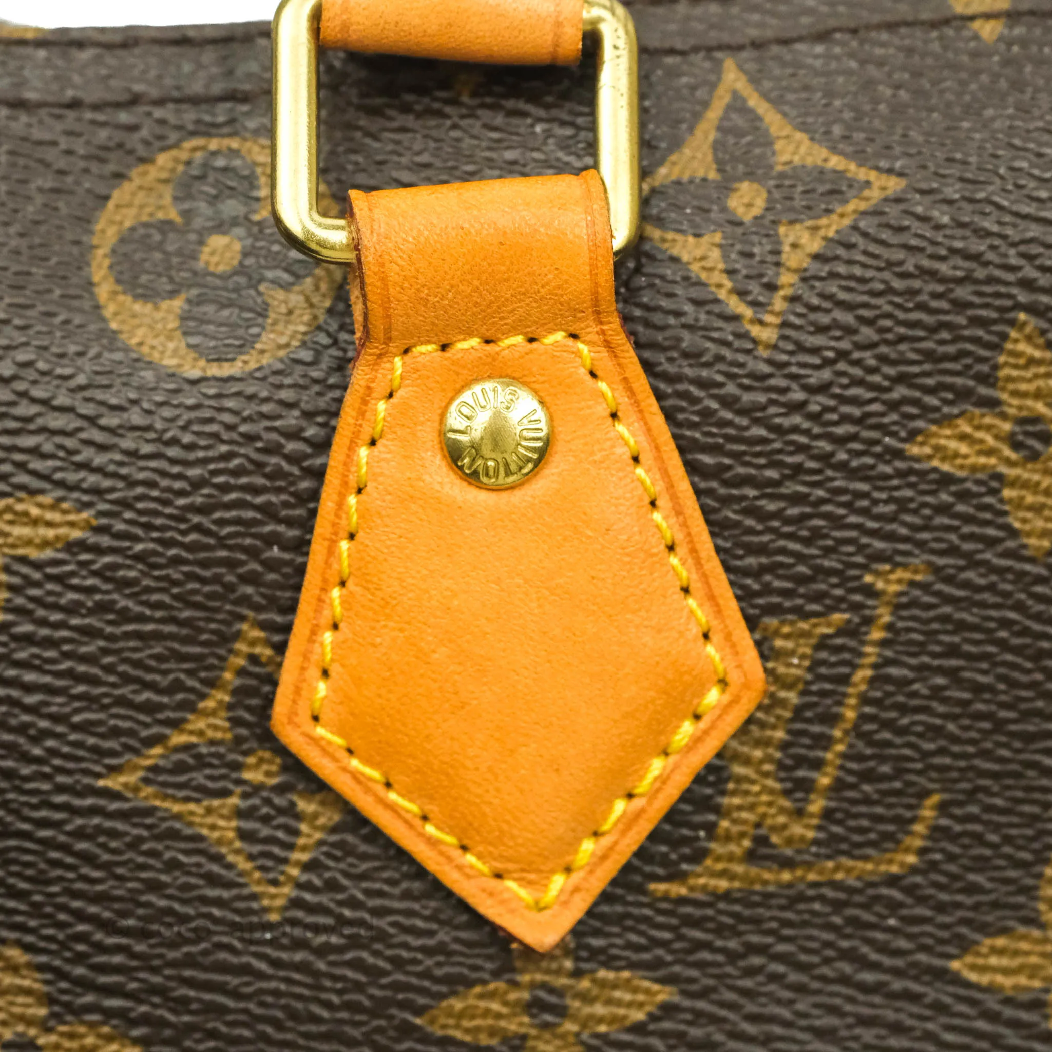 Louis Vuitton Speedy 30 Monogram Canvas