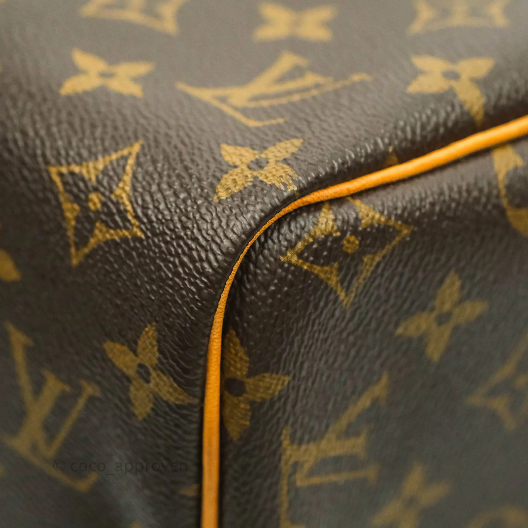 Louis Vuitton Speedy 30 Monogram Canvas