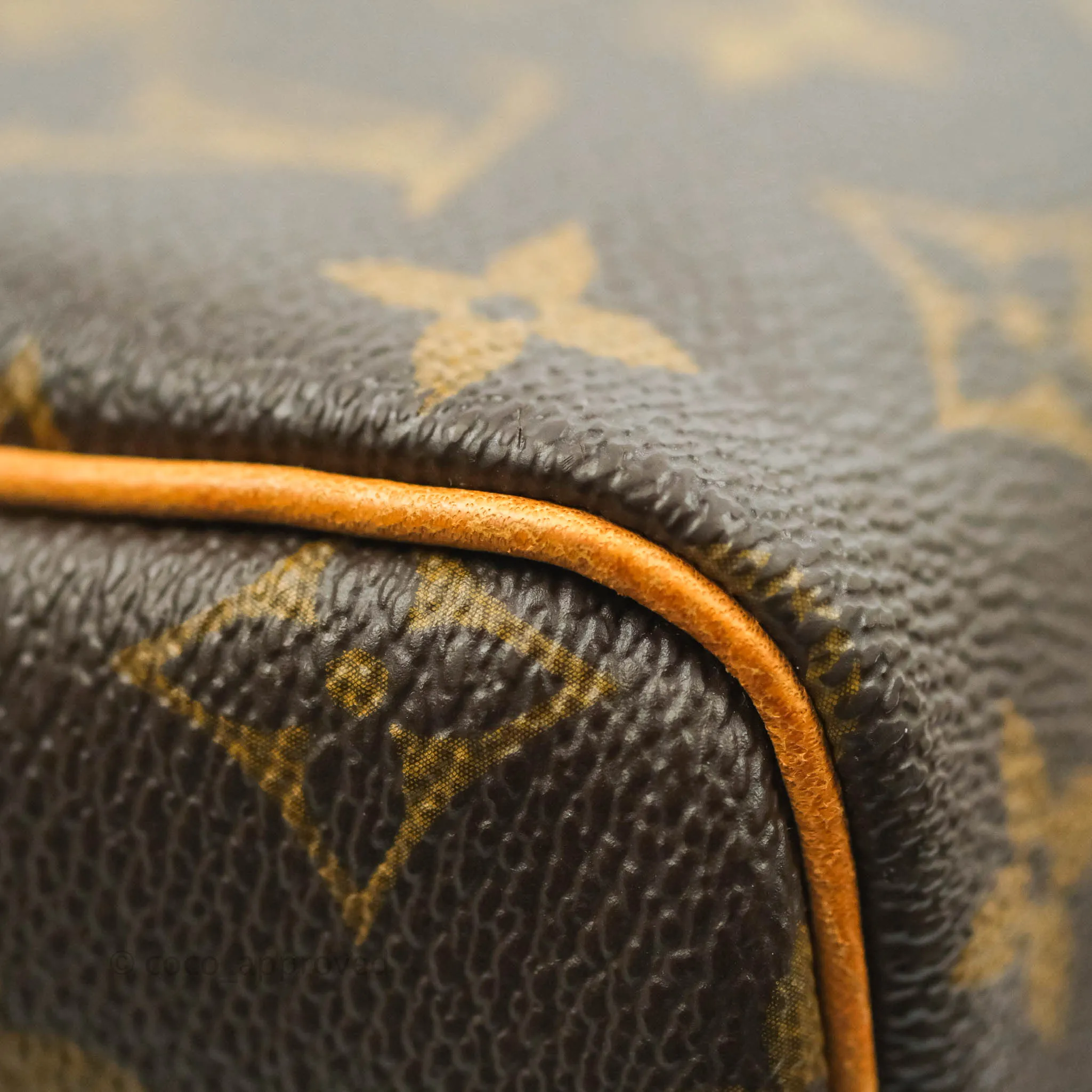 Louis Vuitton Speedy 30 Monogram Canvas