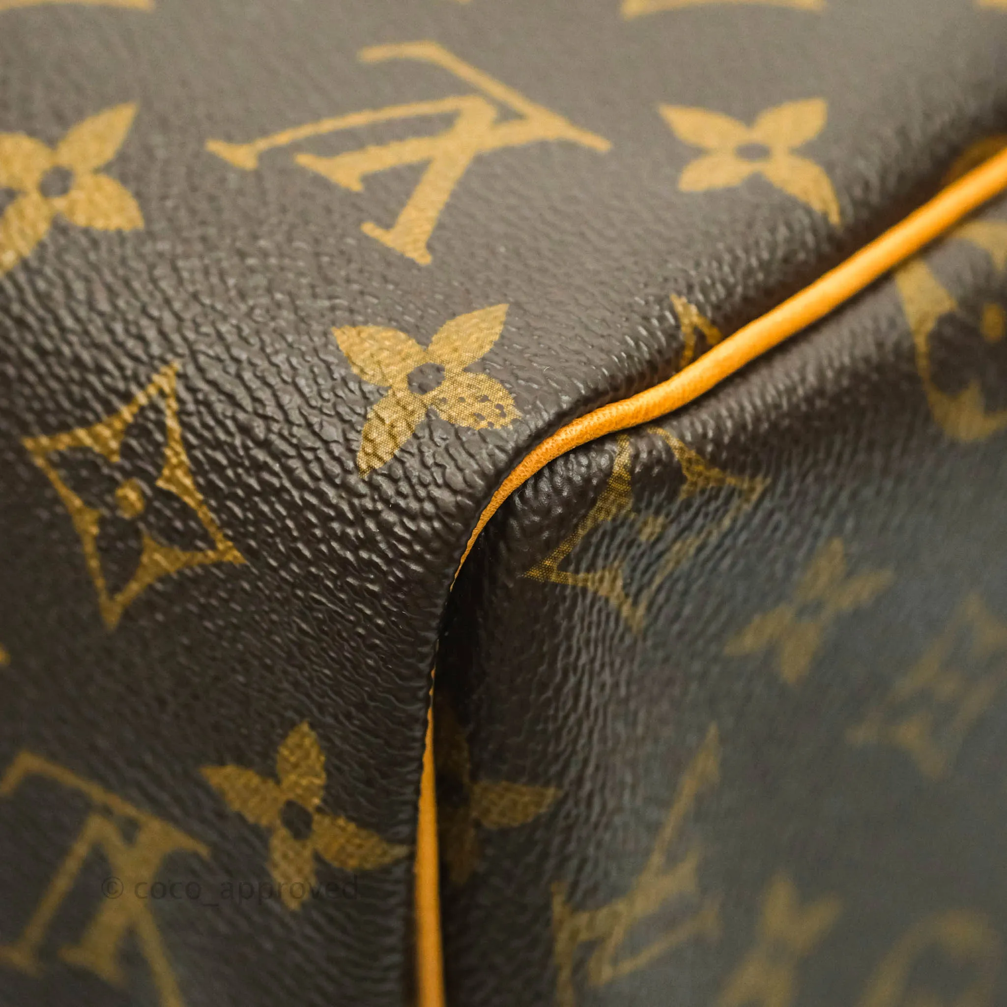 Louis Vuitton Speedy 30 Monogram Canvas
