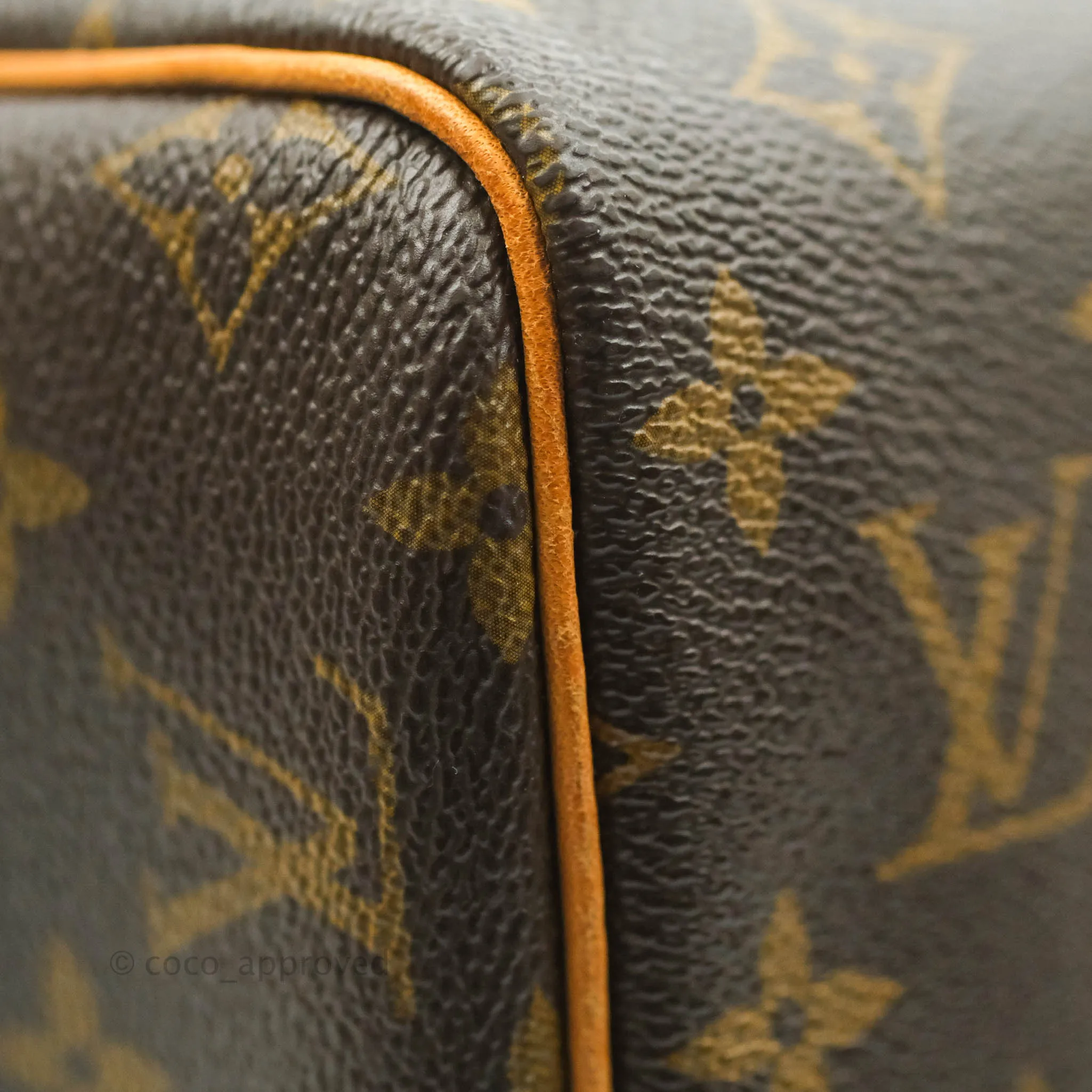 Louis Vuitton Speedy 30 Monogram Canvas