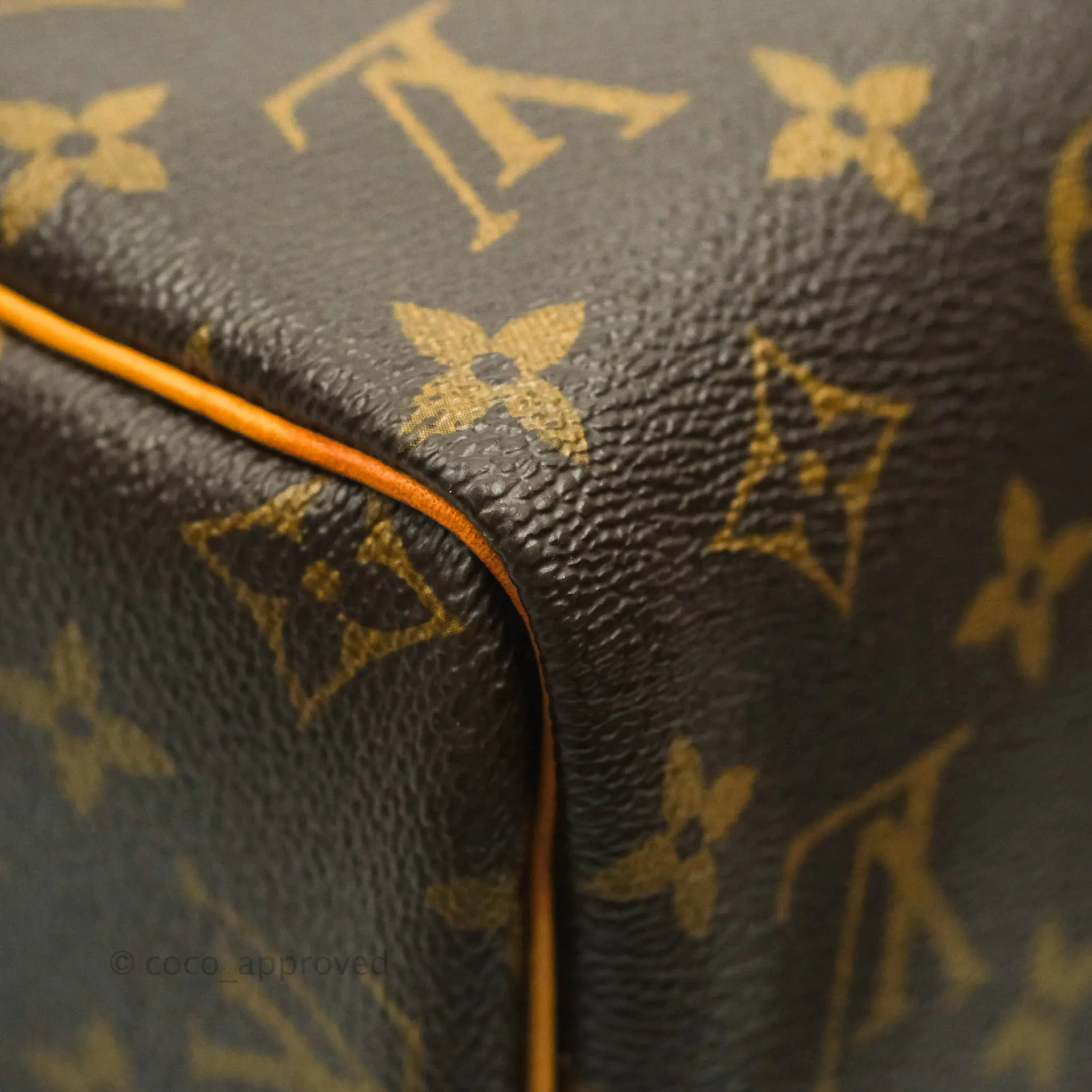 Louis Vuitton Speedy 30 Monogram Canvas