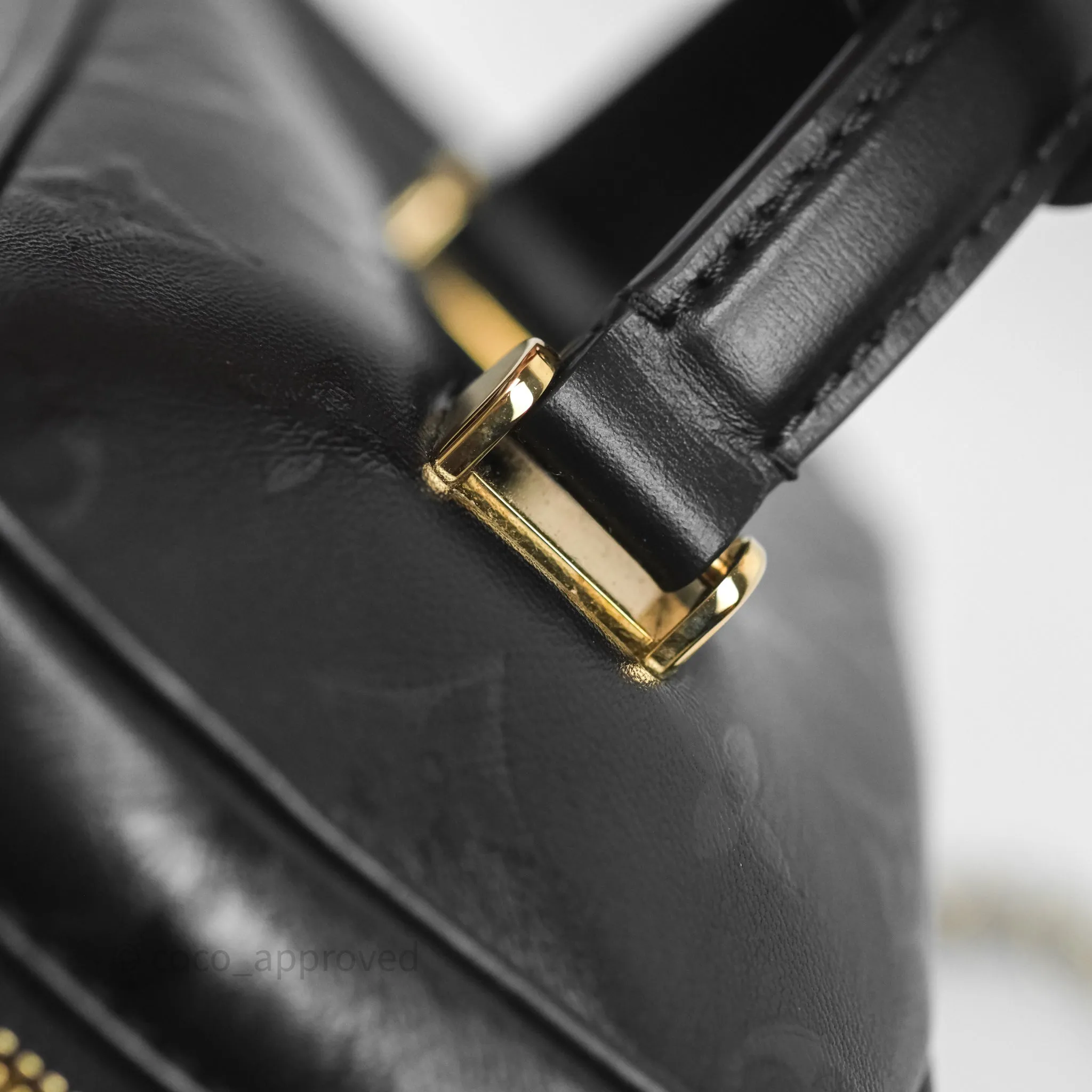 Louis Vuitton Vanity PM Monogram Ink Black