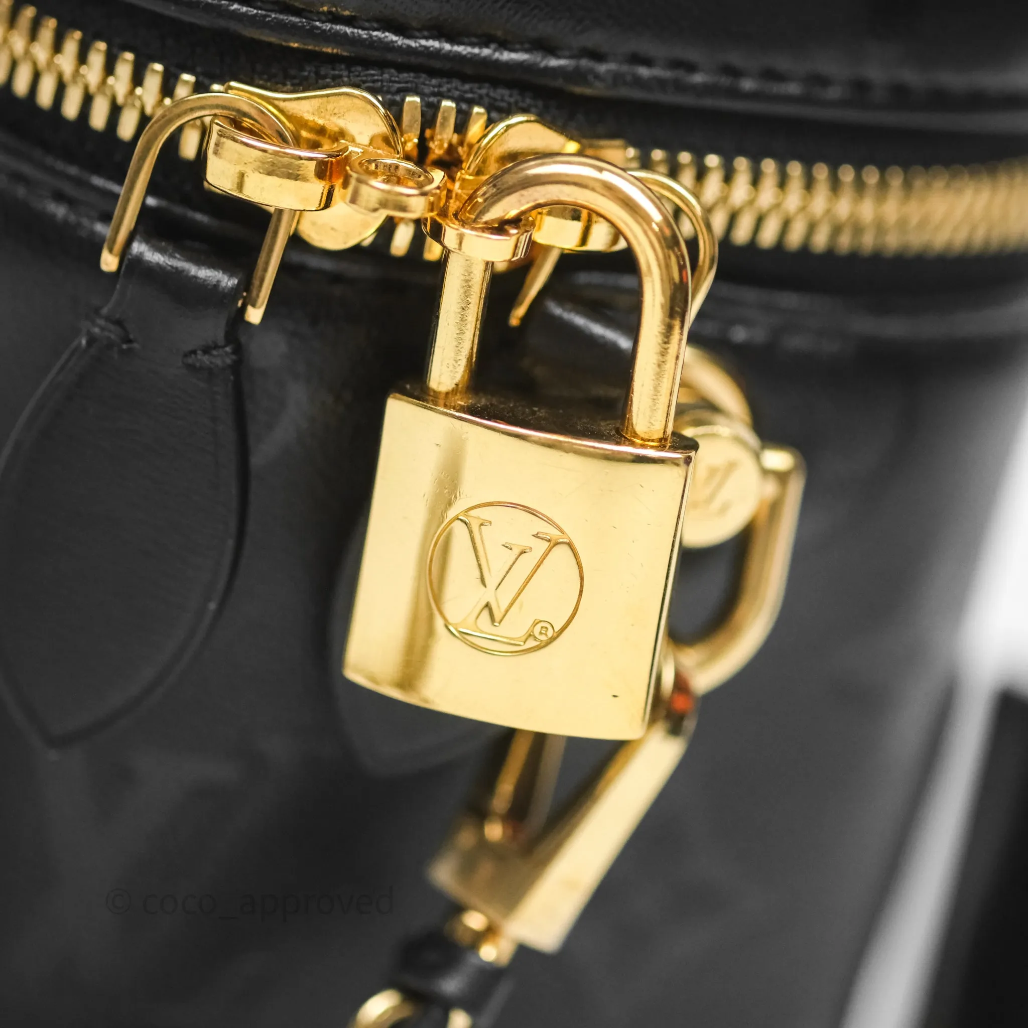 Louis Vuitton Vanity PM Monogram Ink Black
