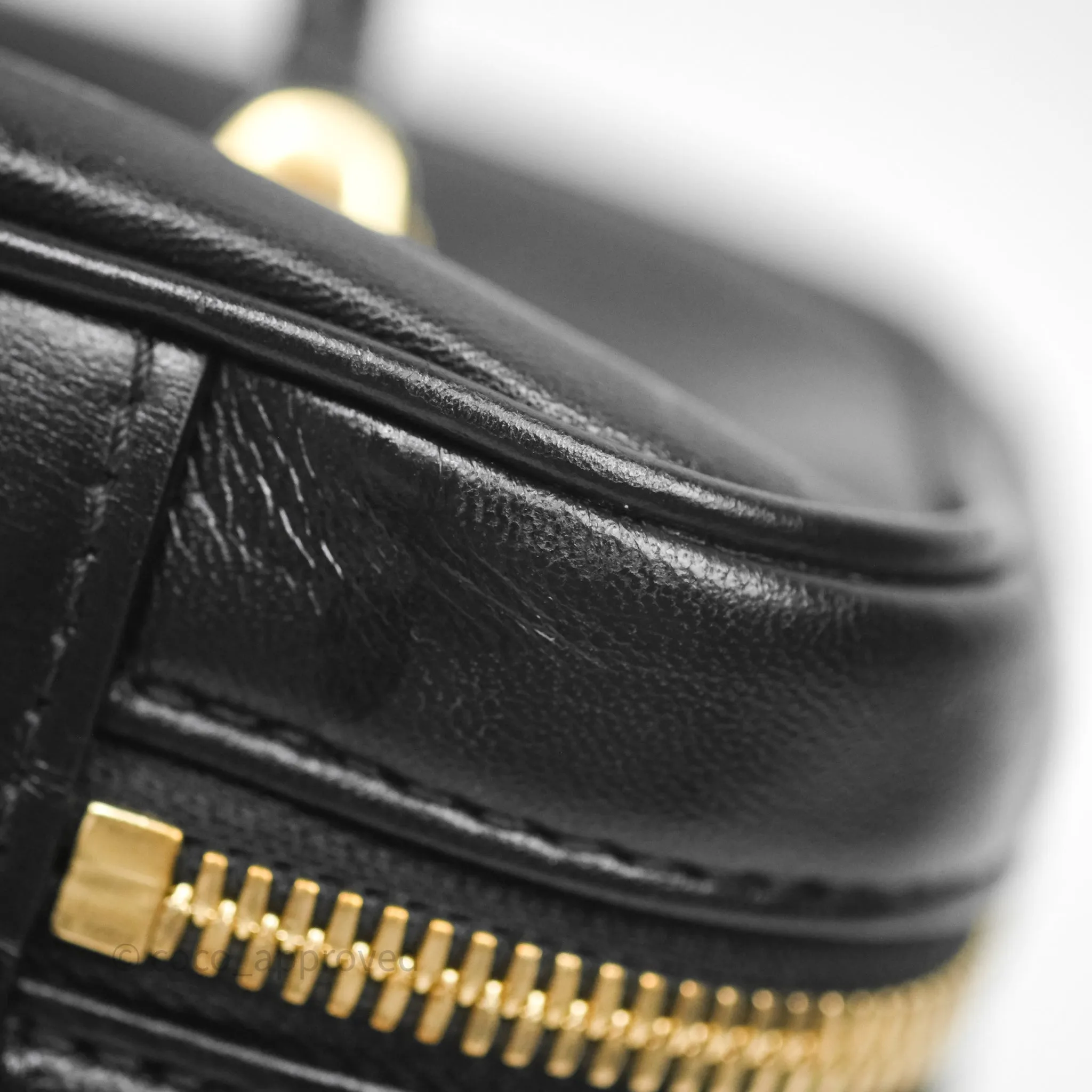 Louis Vuitton Vanity PM Monogram Ink Black
