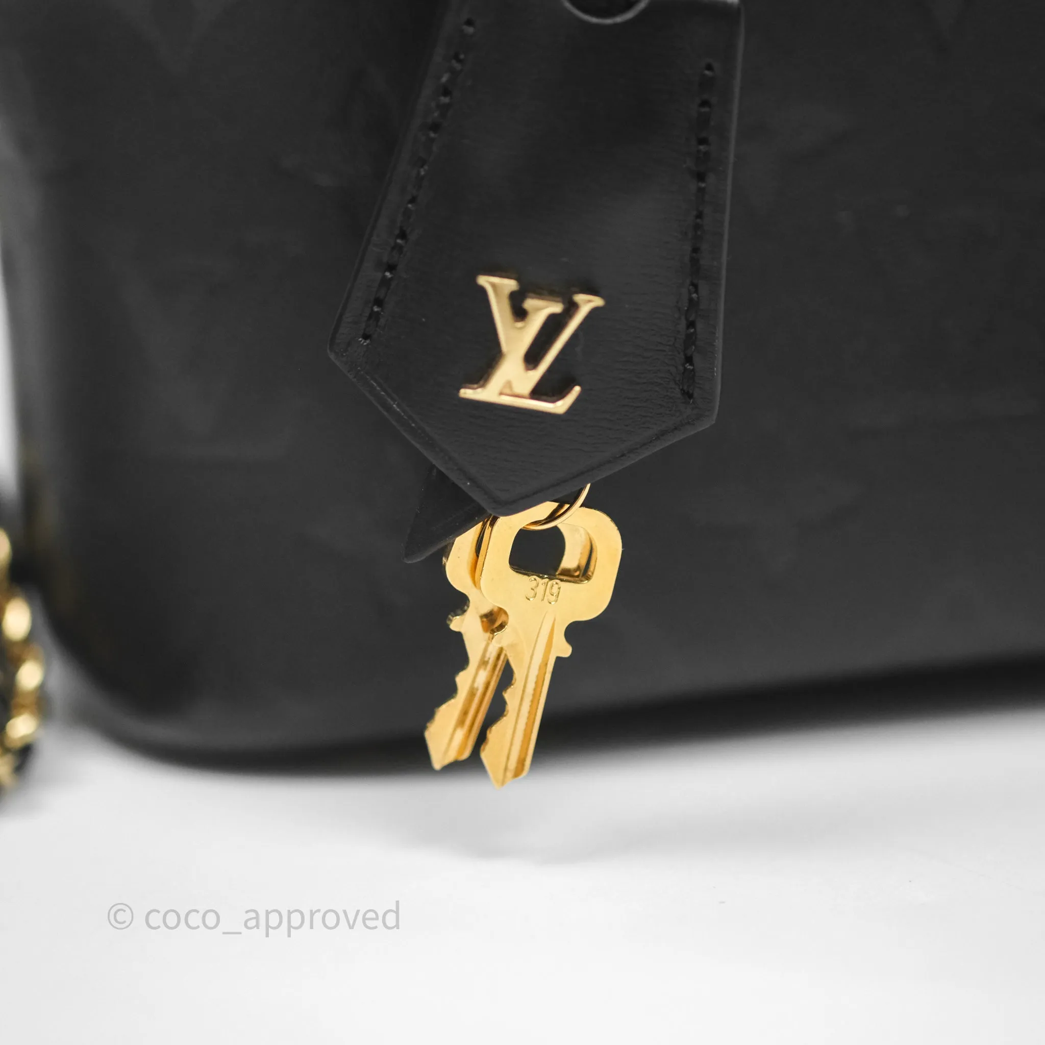 Louis Vuitton Vanity PM Monogram Ink Black