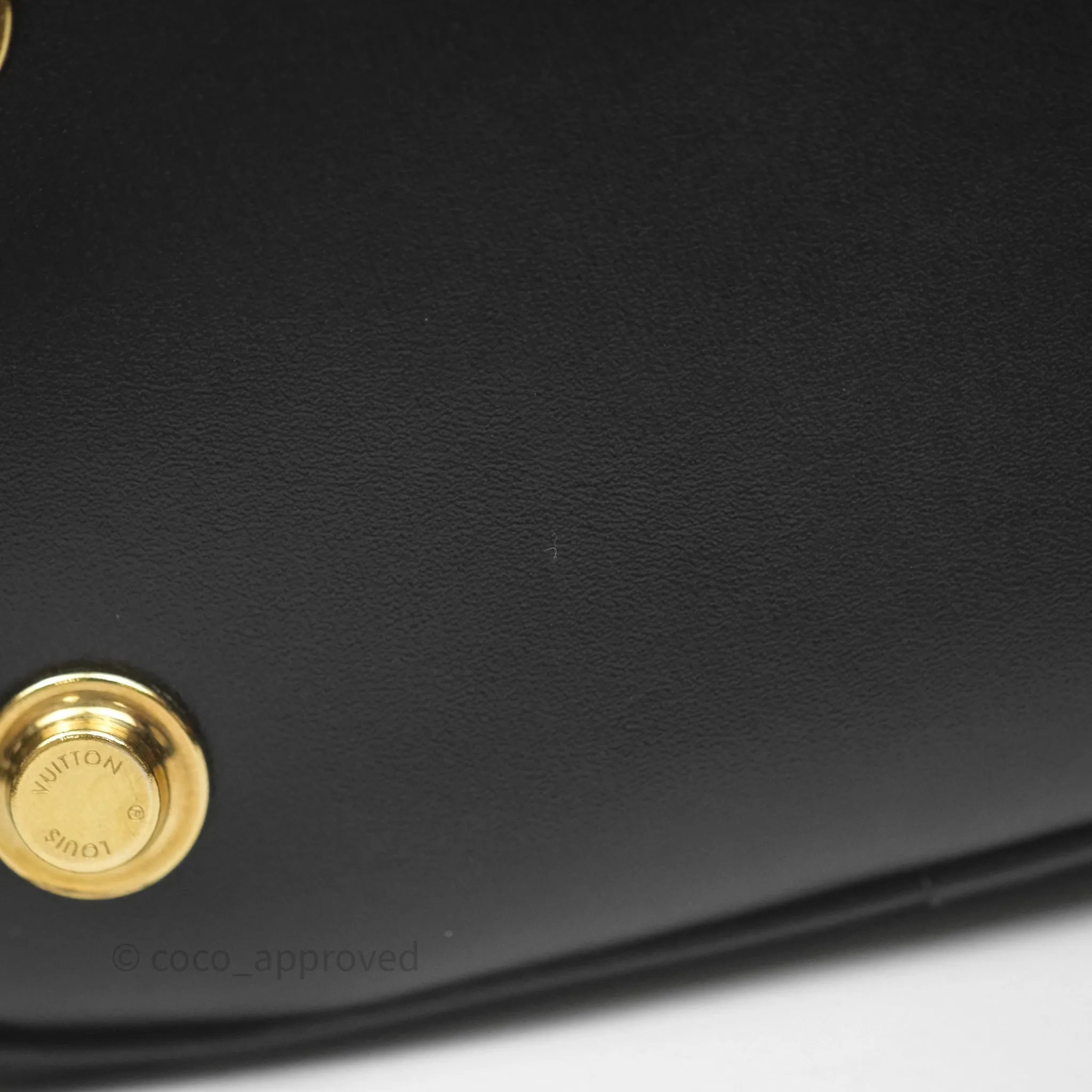 Louis Vuitton Vanity PM Monogram Ink Black