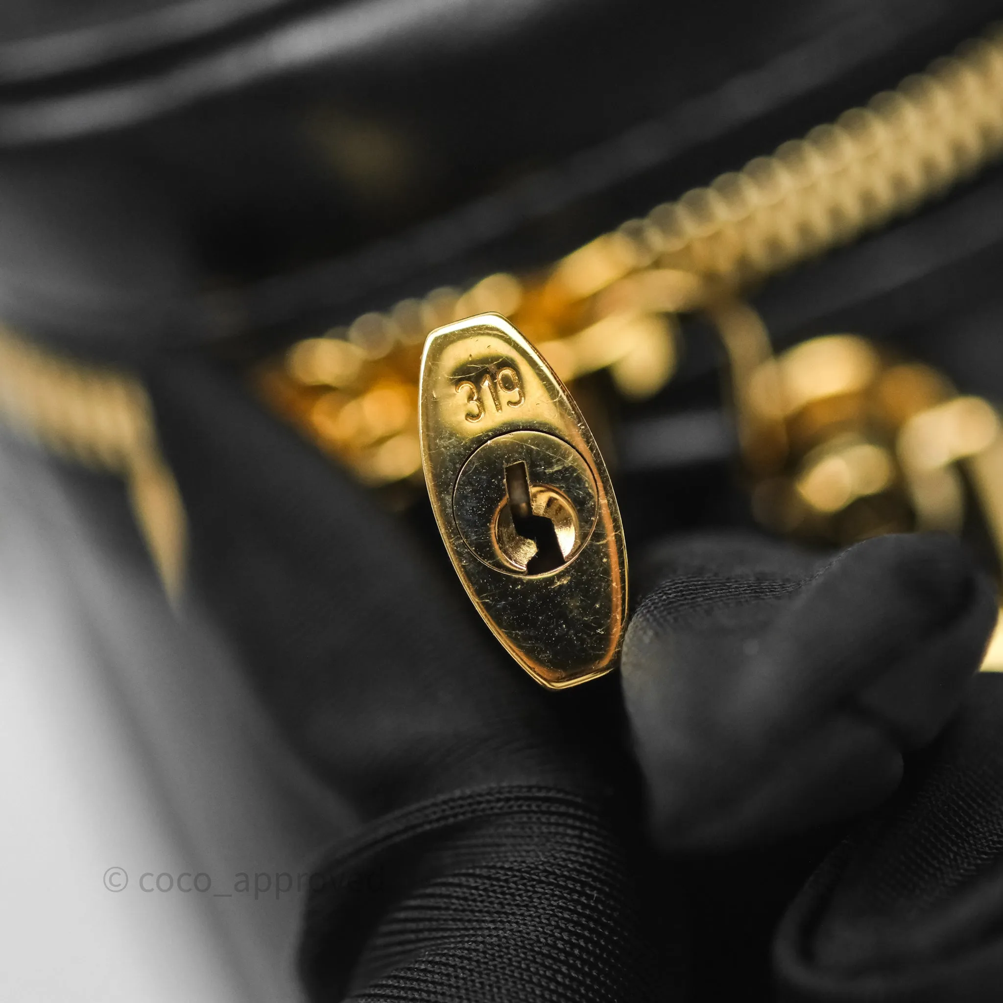 Louis Vuitton Vanity PM Monogram Ink Black