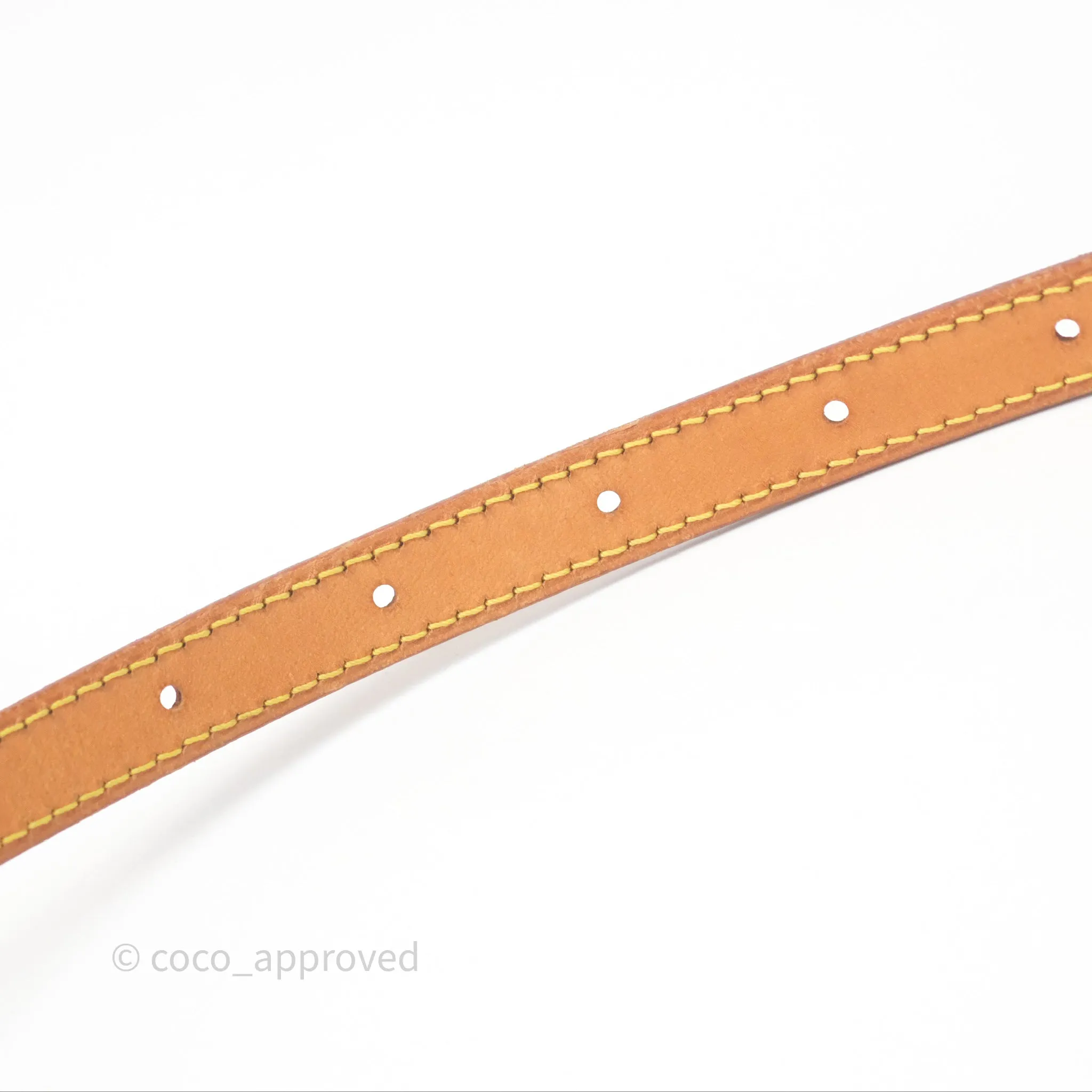 Louis Vuitton Vintage Saint Cloud PM Monogram