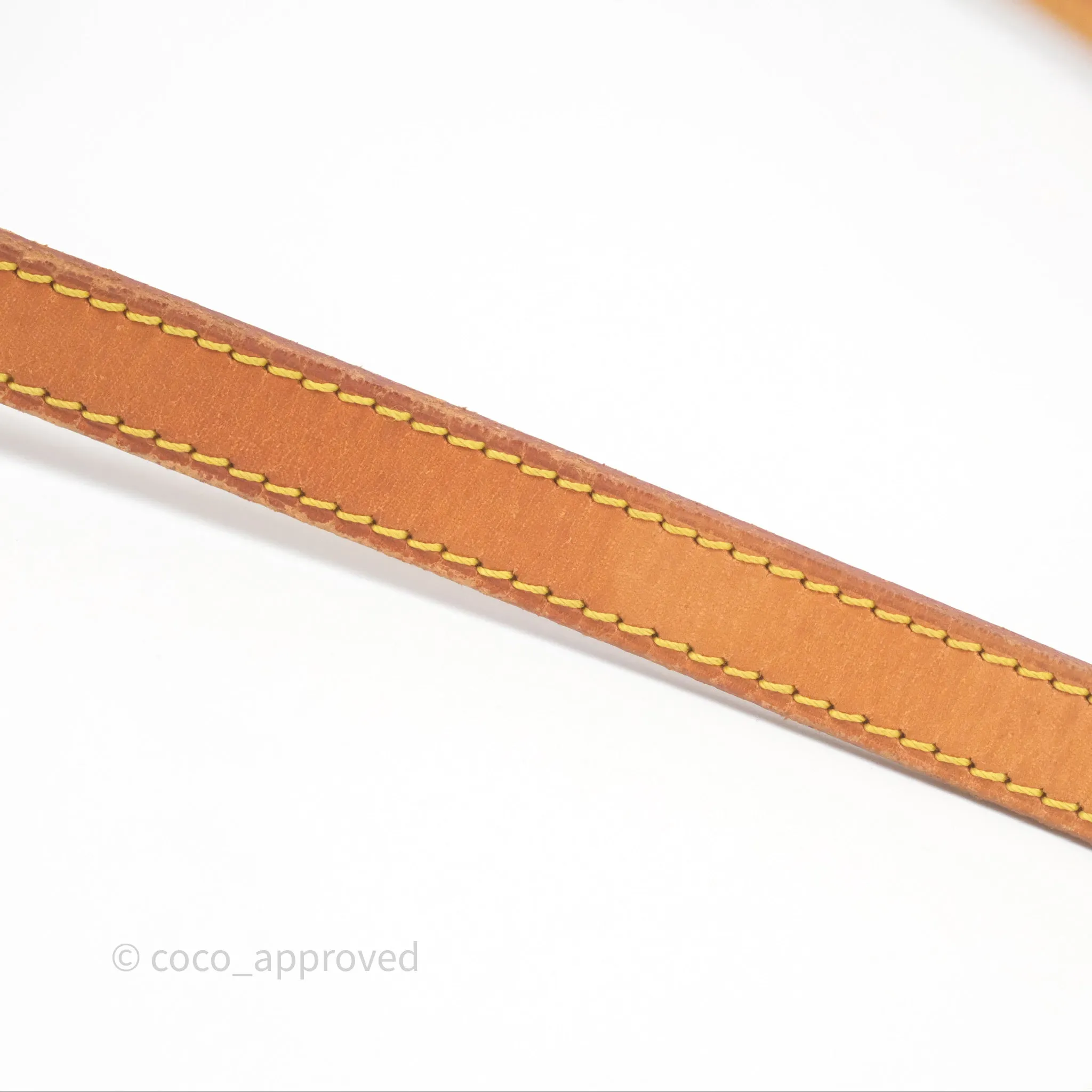 Louis Vuitton Vintage Saint Cloud PM Monogram