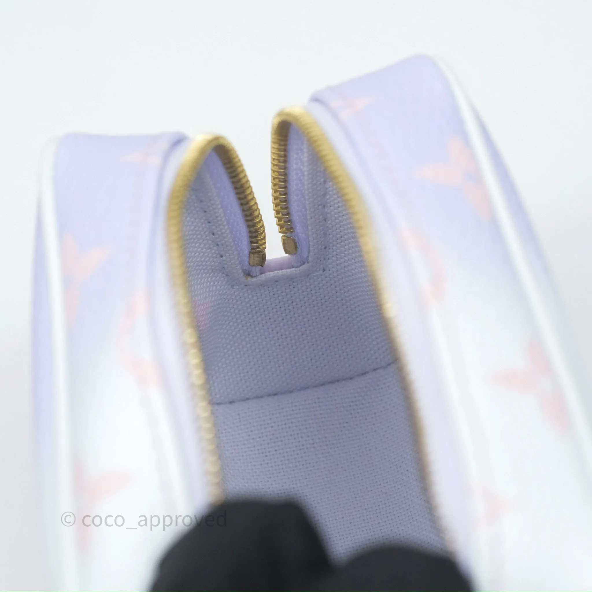 Louis Vuitton Wapity Case Bag Sunrise Pastel