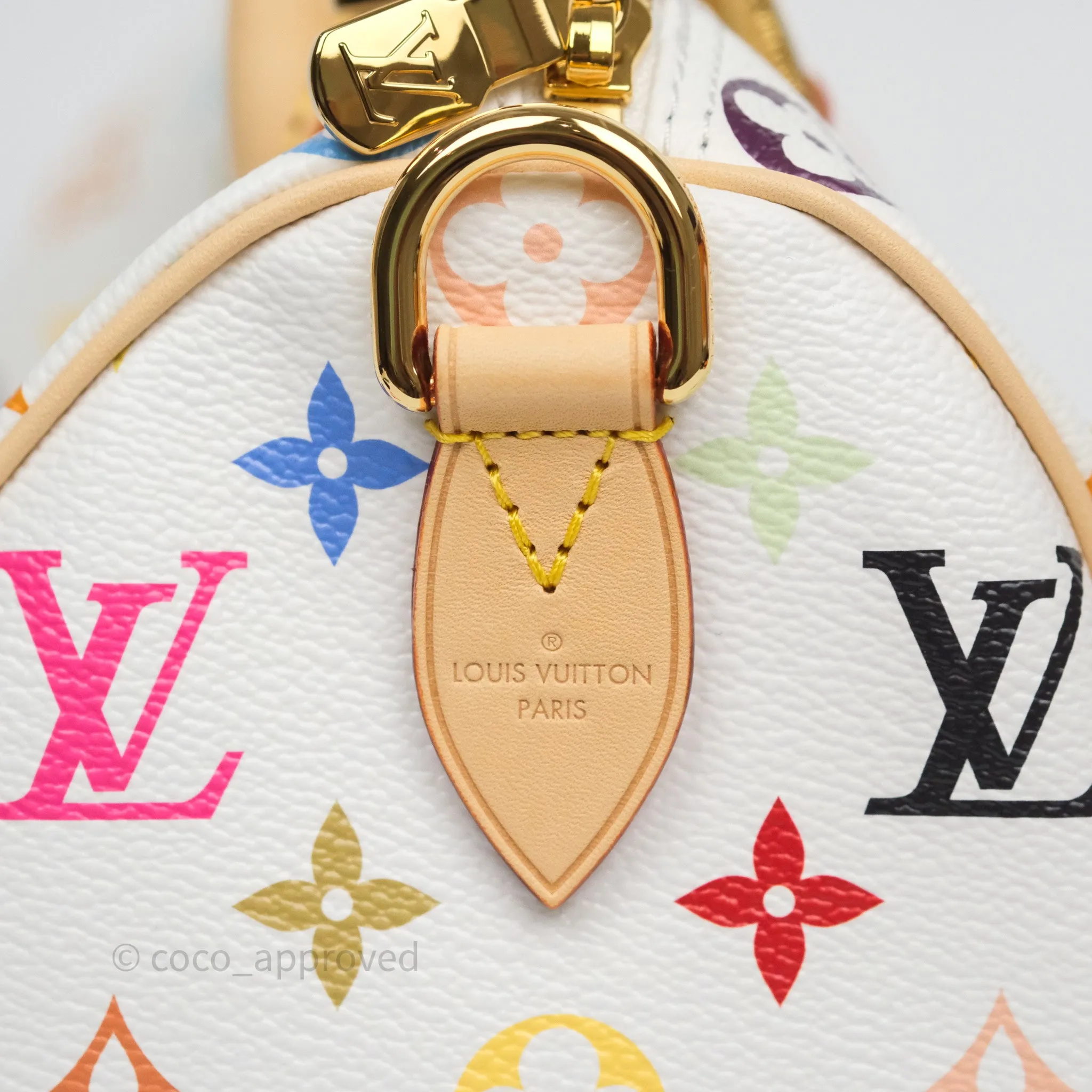 Louis Vuitton x TM Speedy Bandoulire 25
