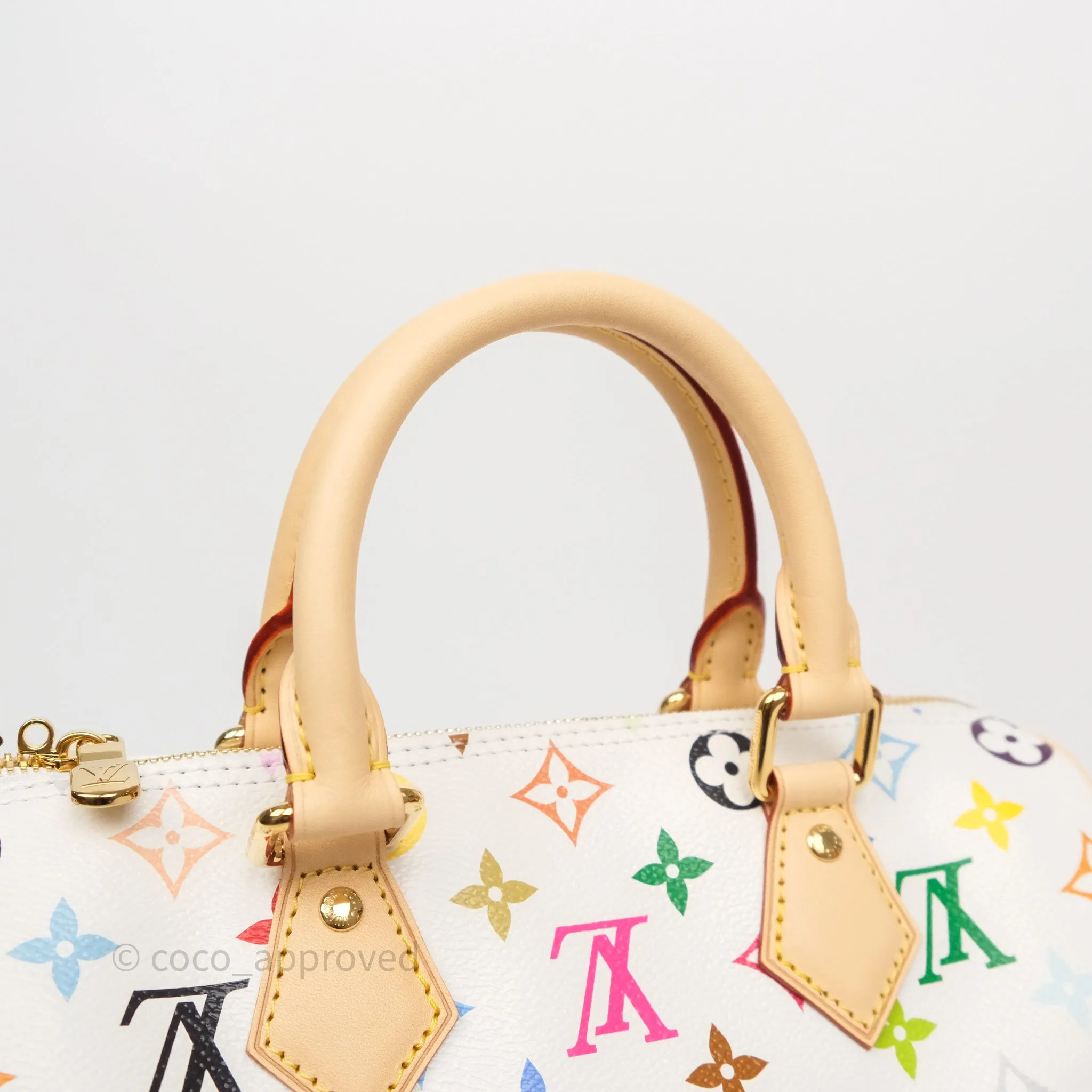 Louis Vuitton x TM Speedy Bandoulire 25