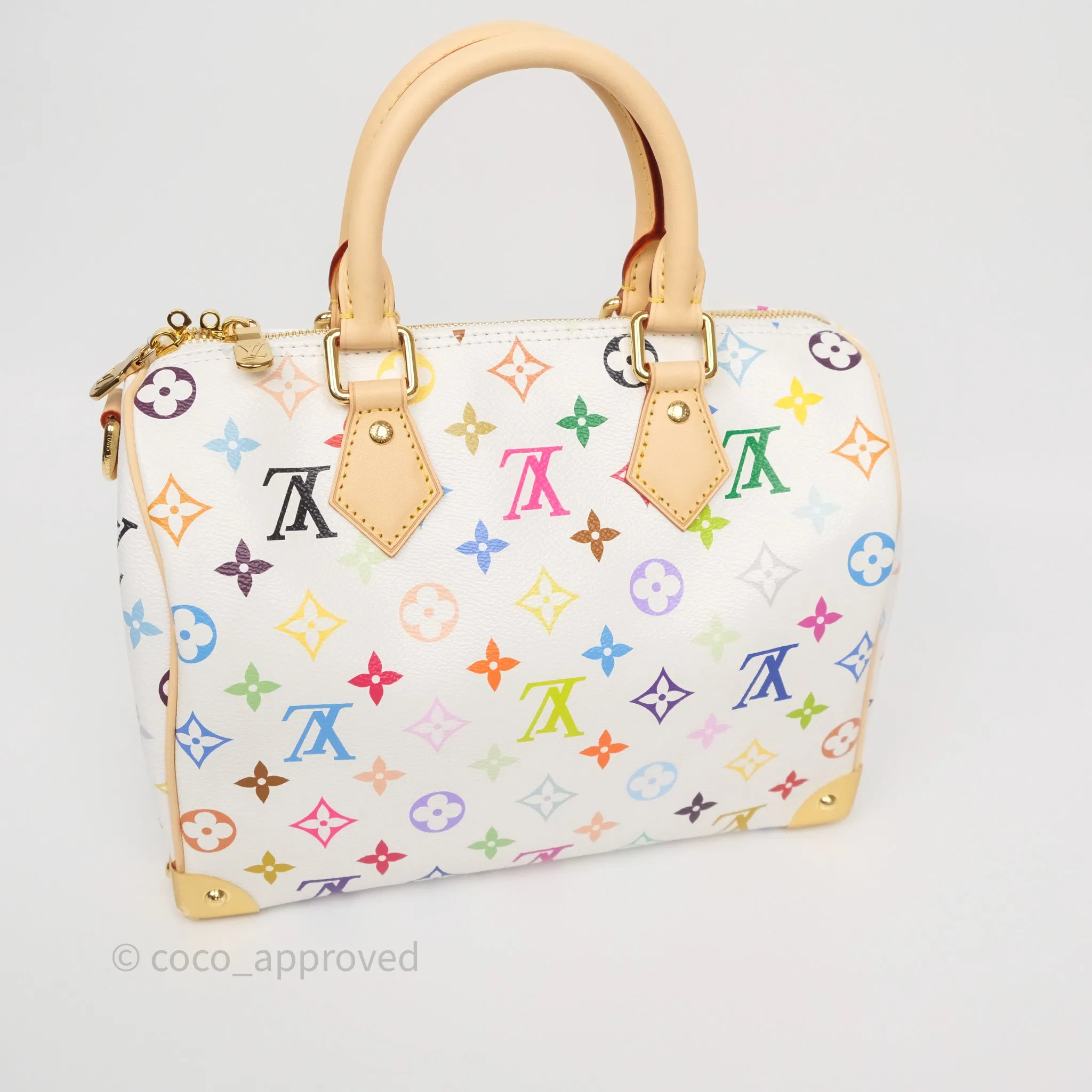 Louis Vuitton x TM Speedy Bandoulire 25