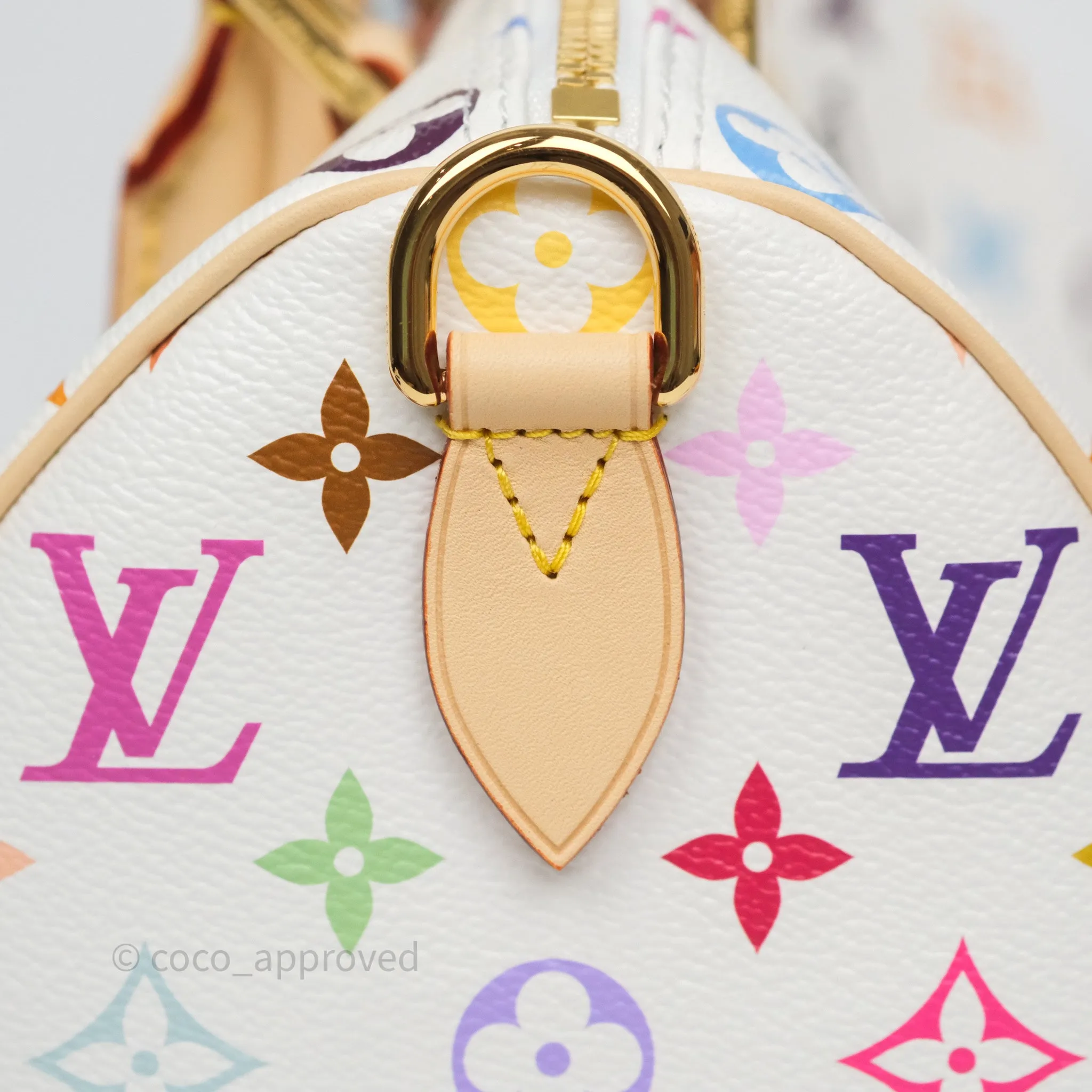 Louis Vuitton x TM Speedy Bandoulire 25