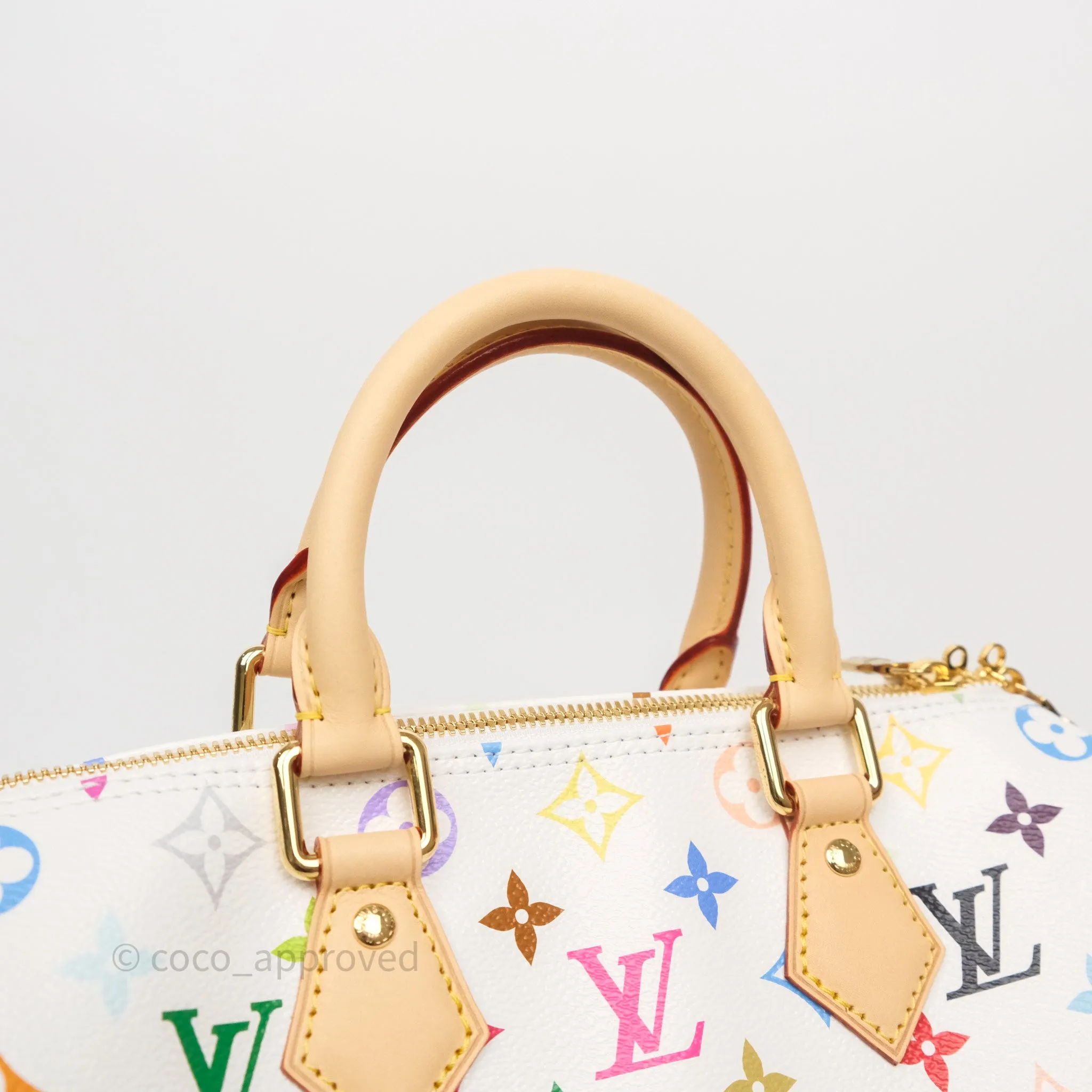 Louis Vuitton x TM Speedy Bandoulire 25