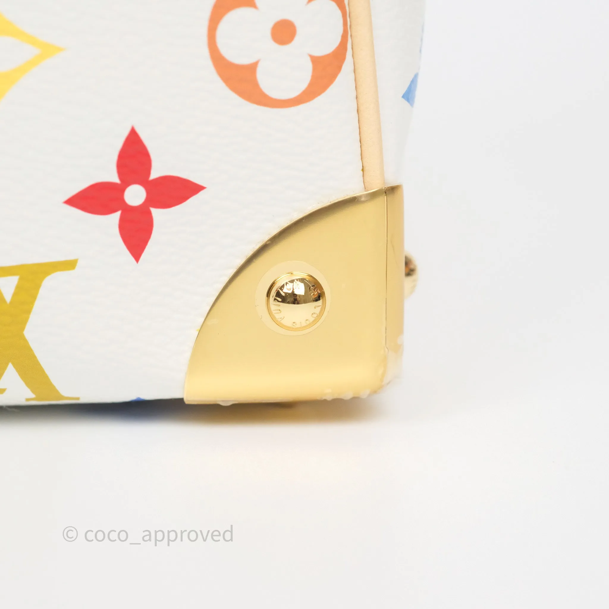 Louis Vuitton x TM Speedy Bandoulire 25