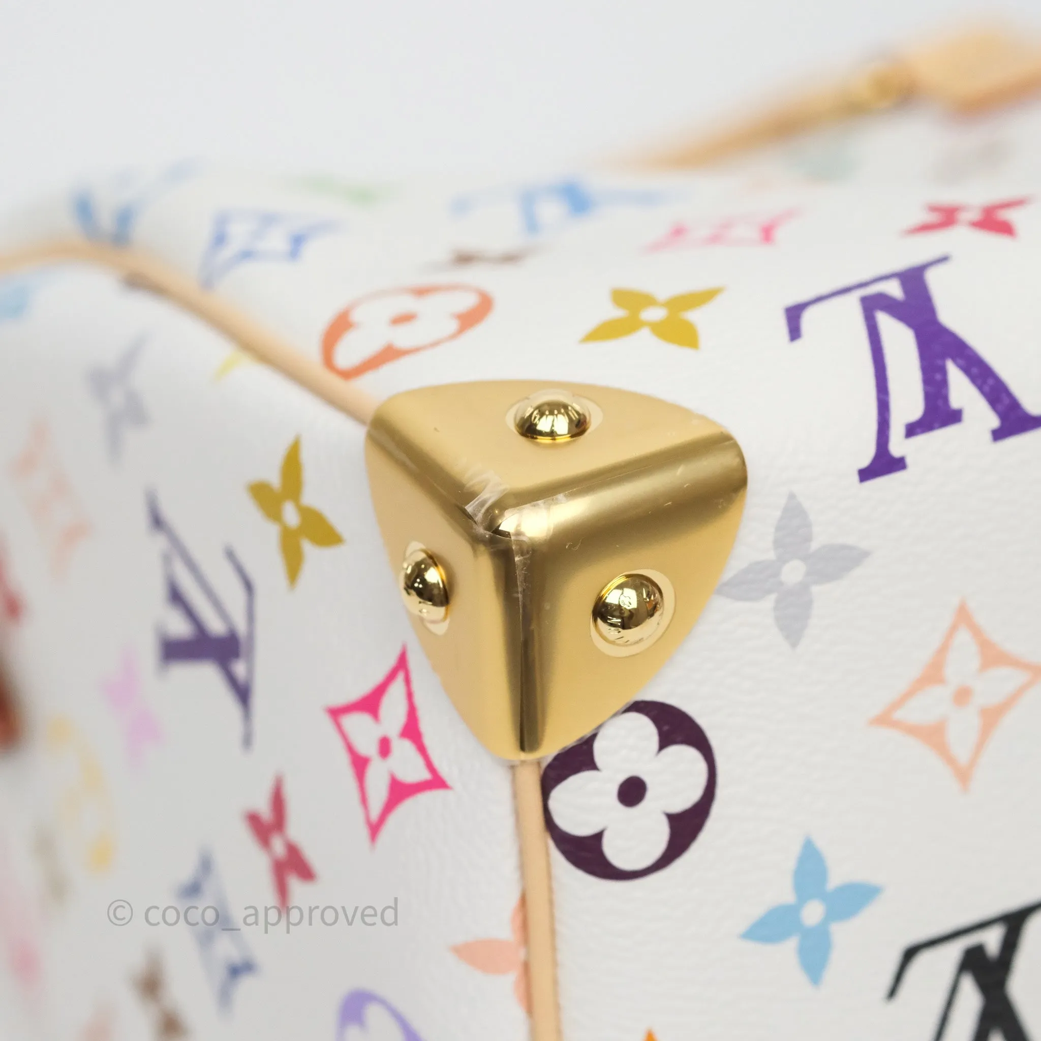 Louis Vuitton x TM Speedy Bandoulire 25