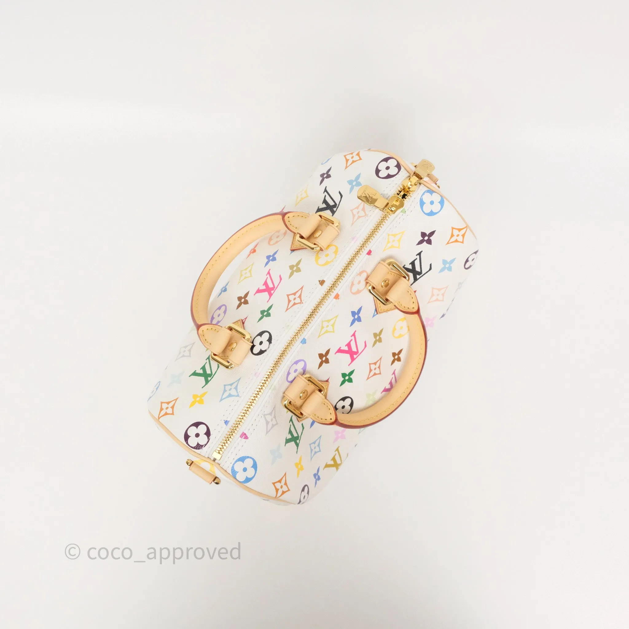 Louis Vuitton x TM Speedy Bandoulire 25